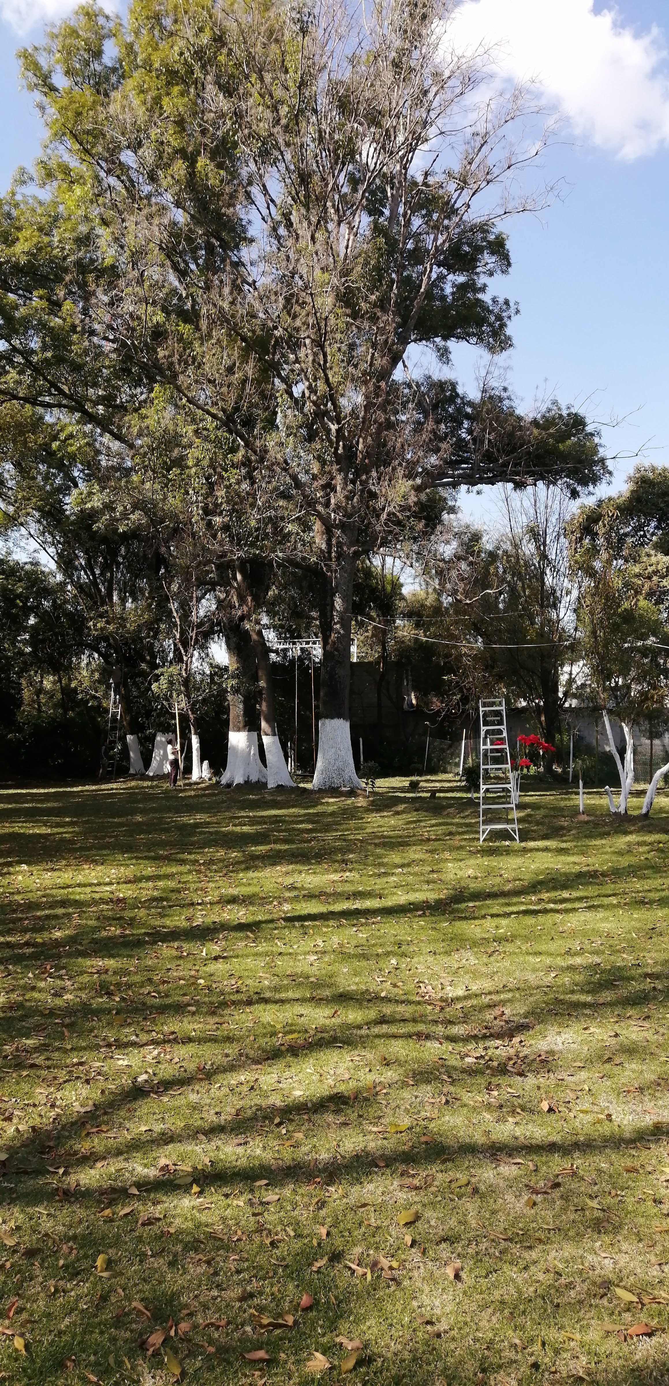 Papirolo's Bar Restaurant Beer Garden image 8