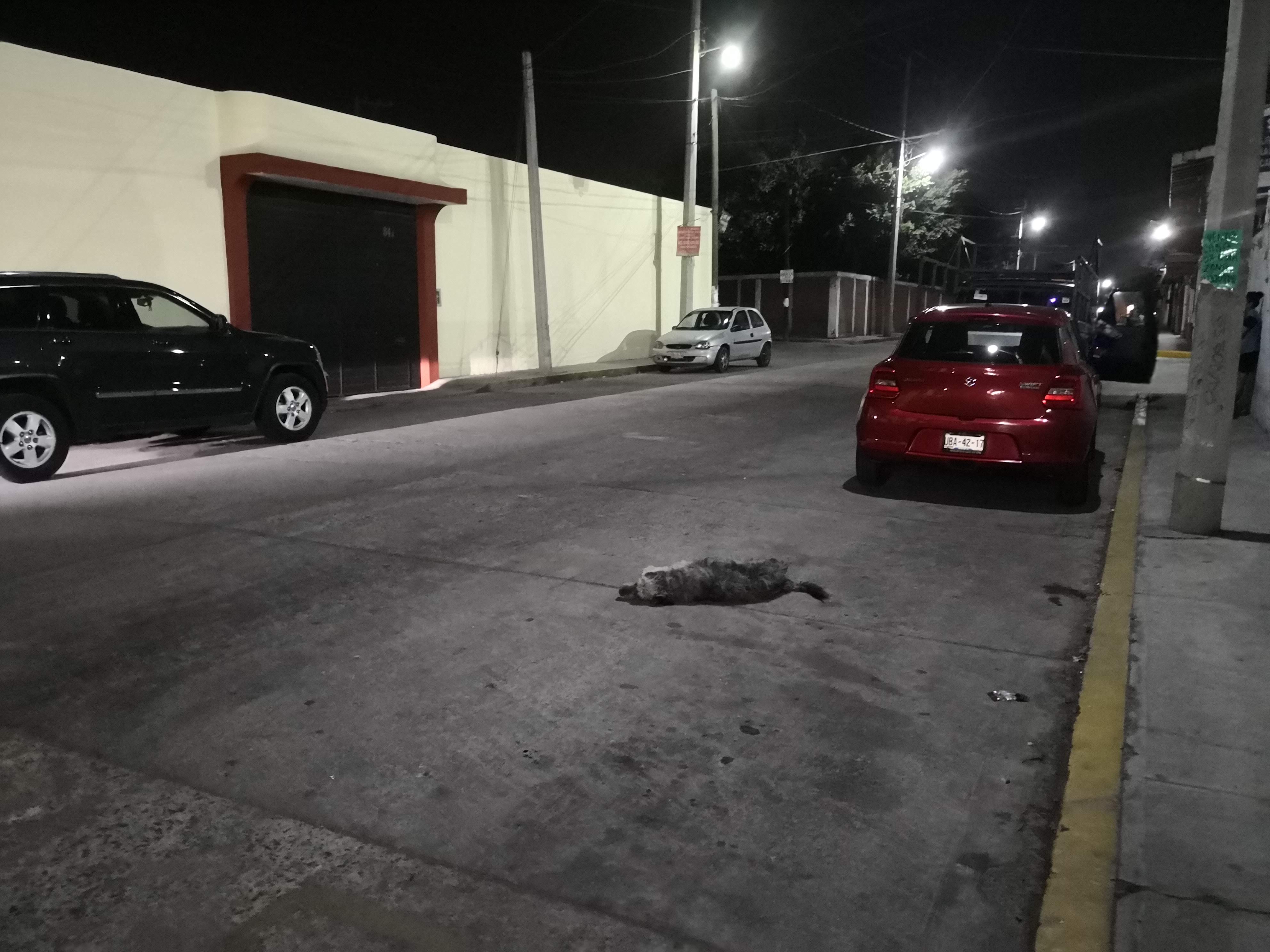 TACOS LOS AGACHADOS image 10