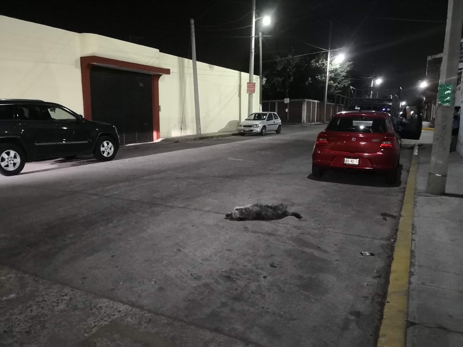 TACOS LOS AGACHADOS image 10