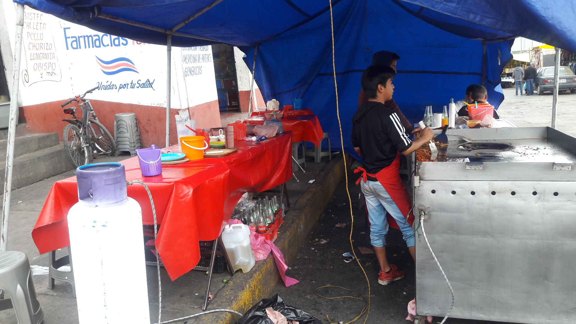 tacos "El Osito" image 5