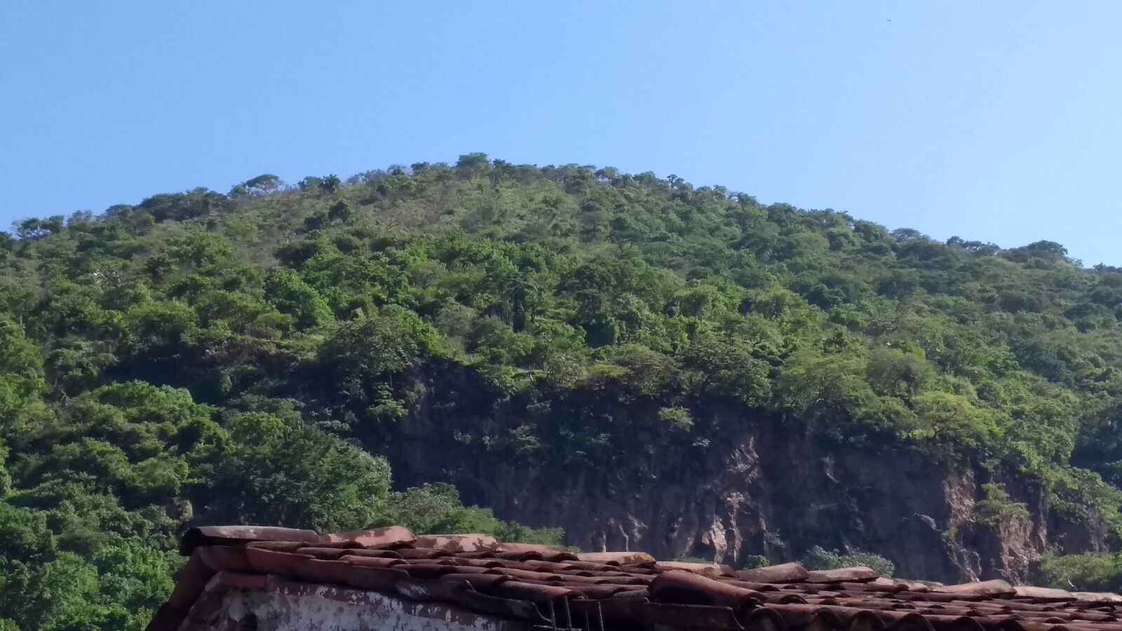 Cenaduría Ramirez image 2