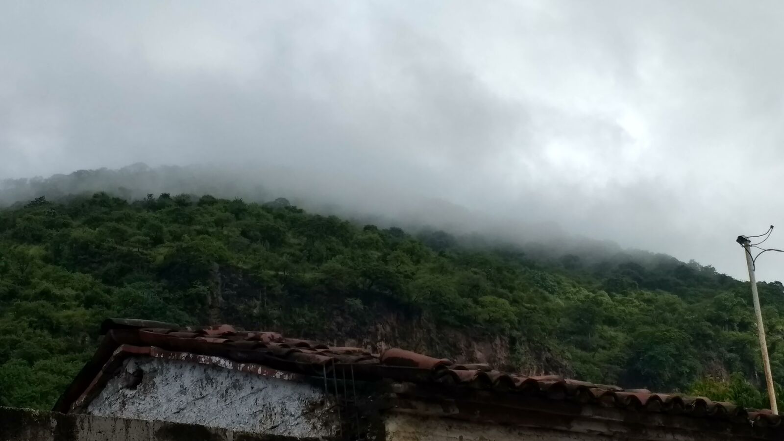 Cenaduría Ramirez image 10