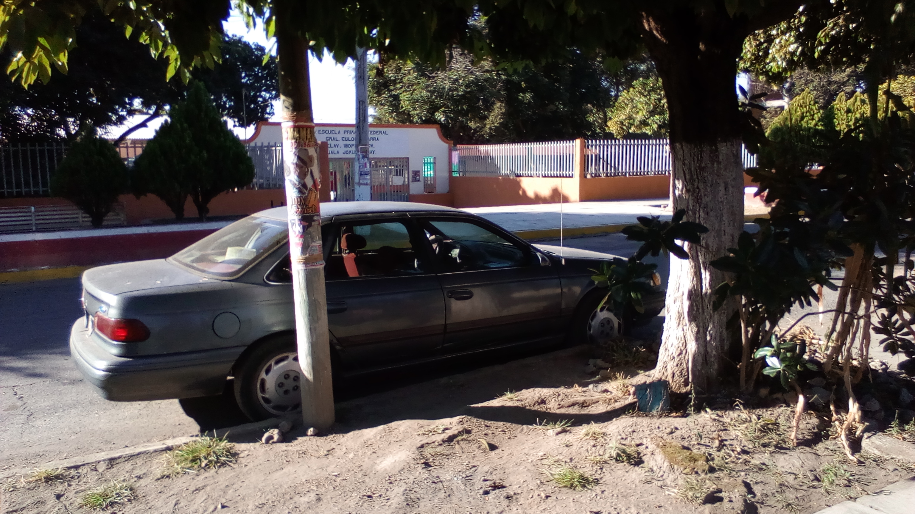 Restaurant Los Pioneros image 4