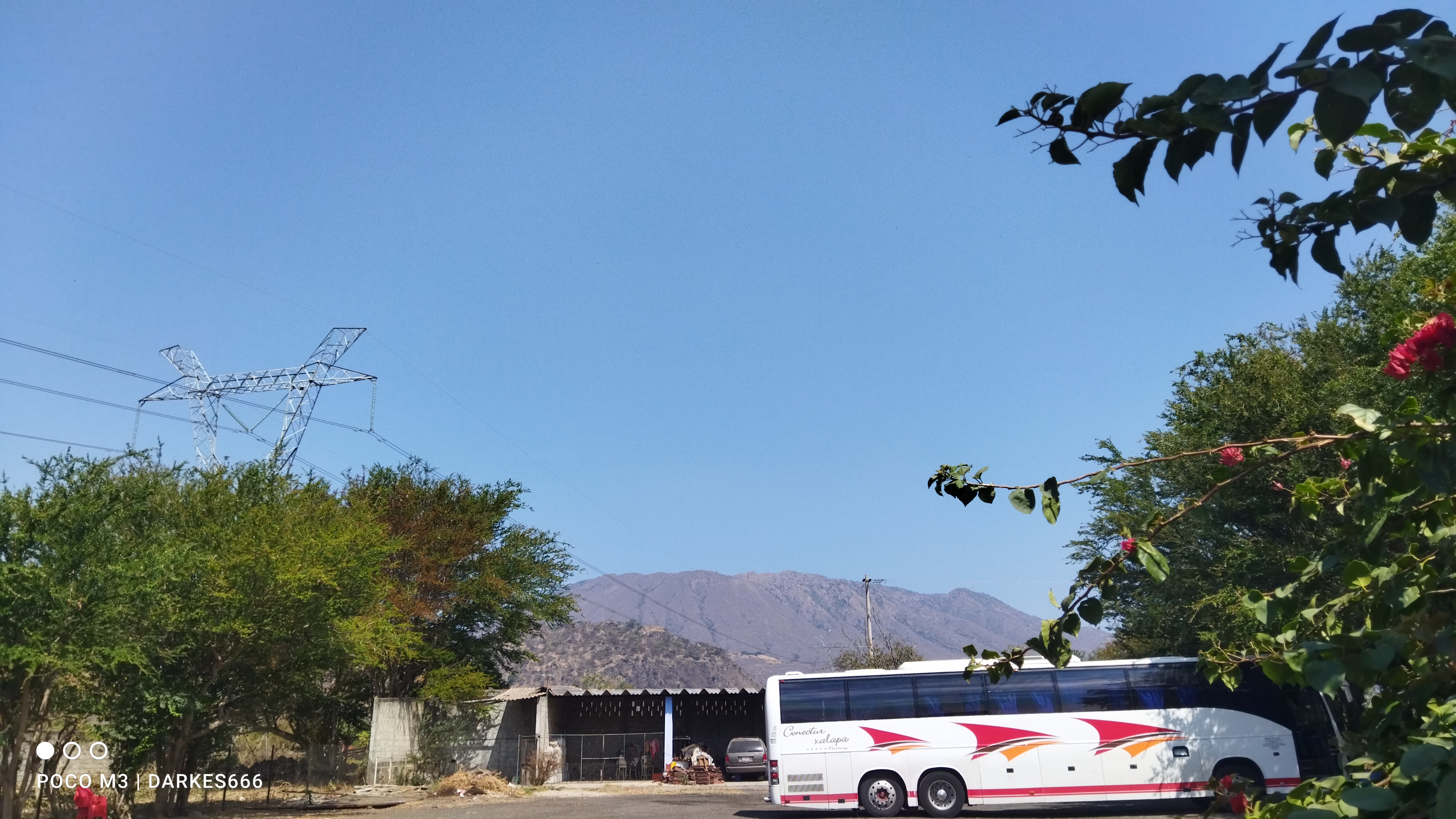 Restaurante Bugambilias image 7