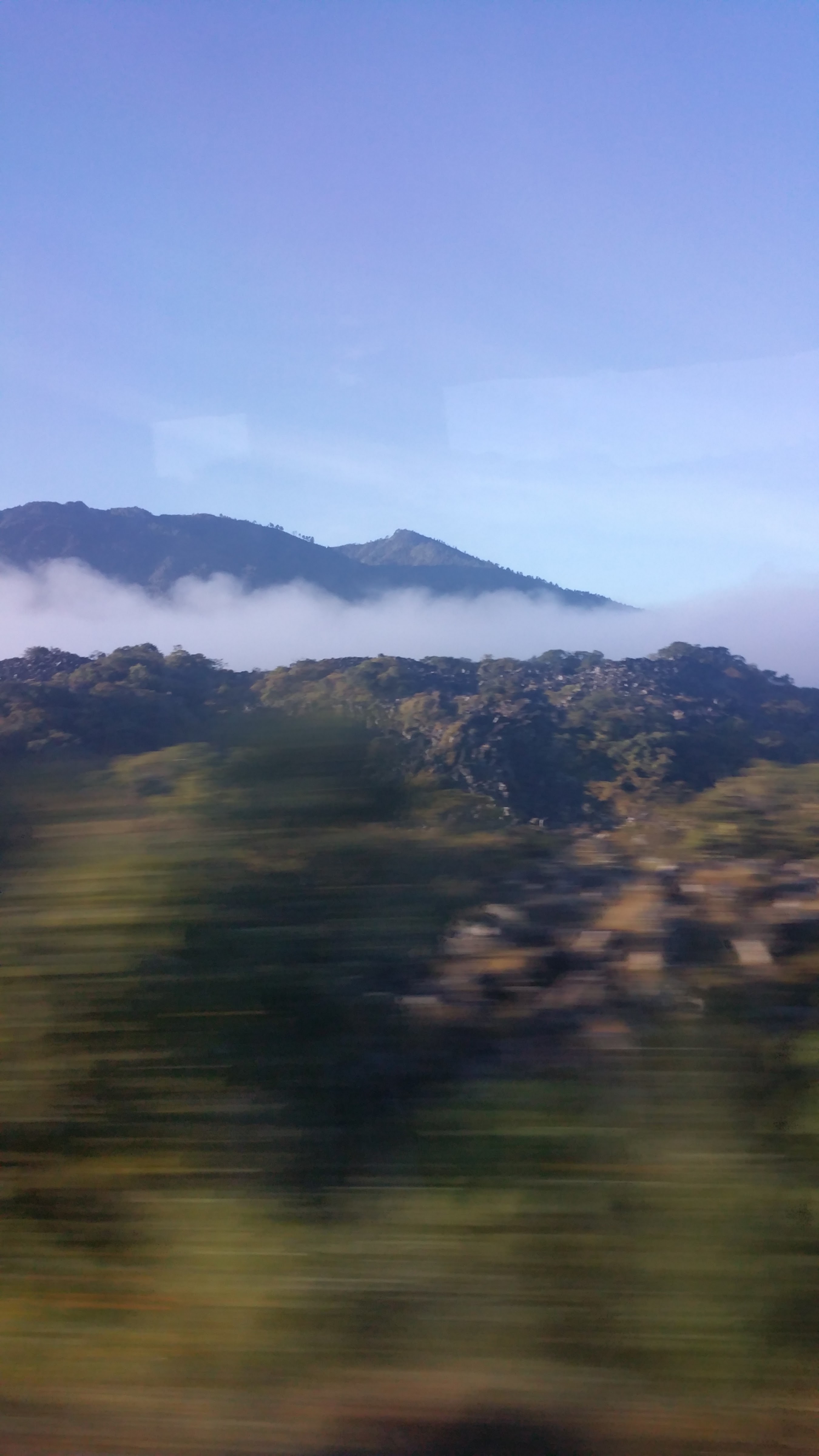 Restaurante Bugambilias image 10