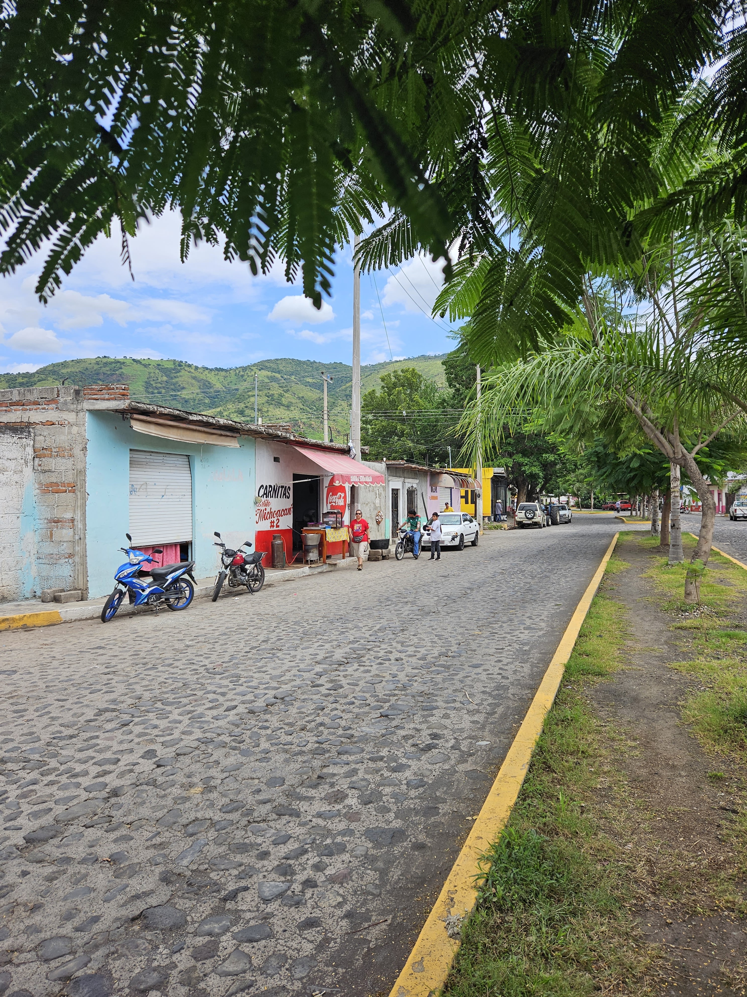 Carnitas #2 estilo Michoacán image 8