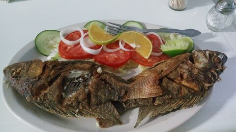 Restaurante de Mariscos "Las Chabelas" image 1