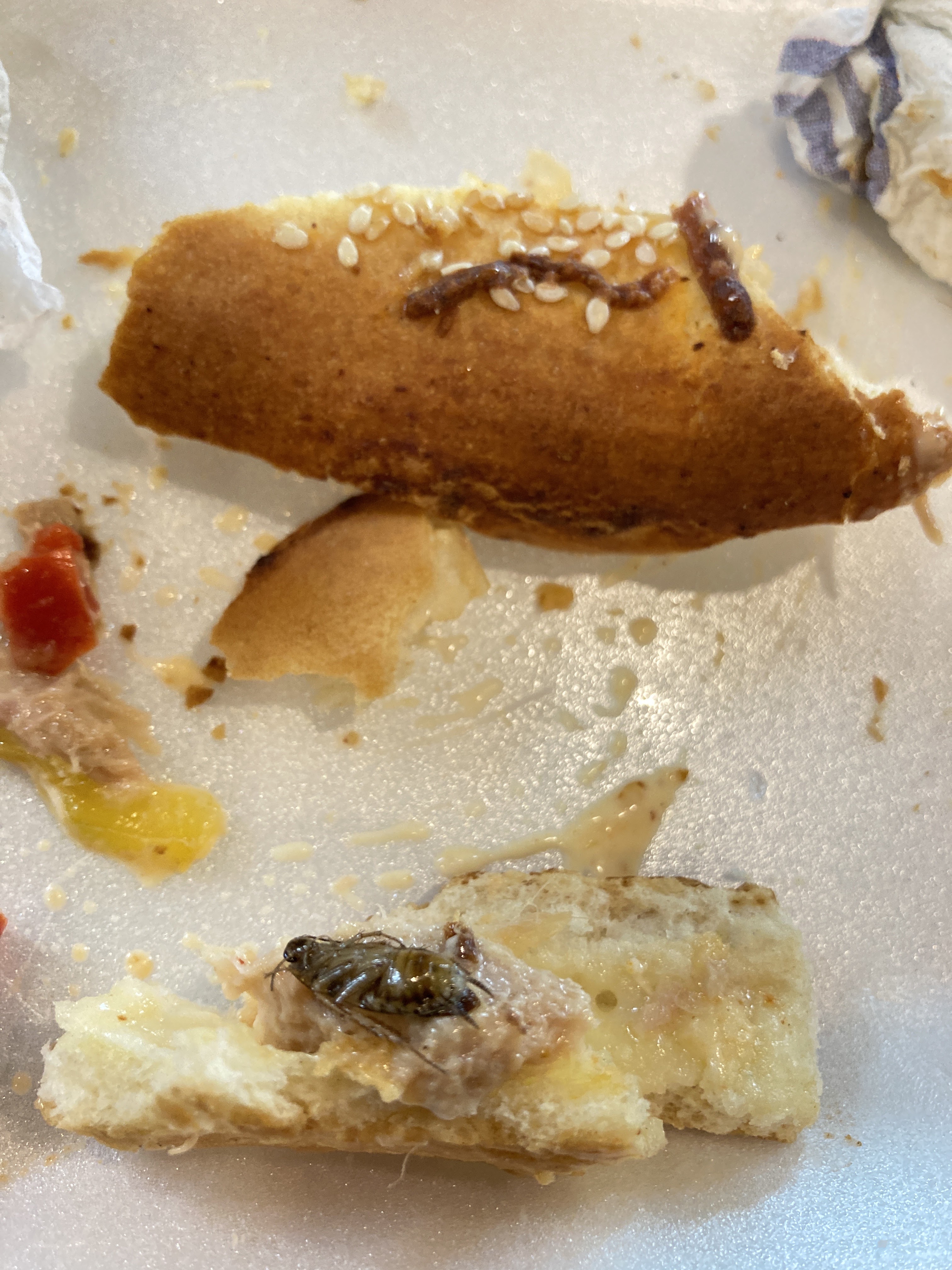 Pizzas Zamudio's image 5