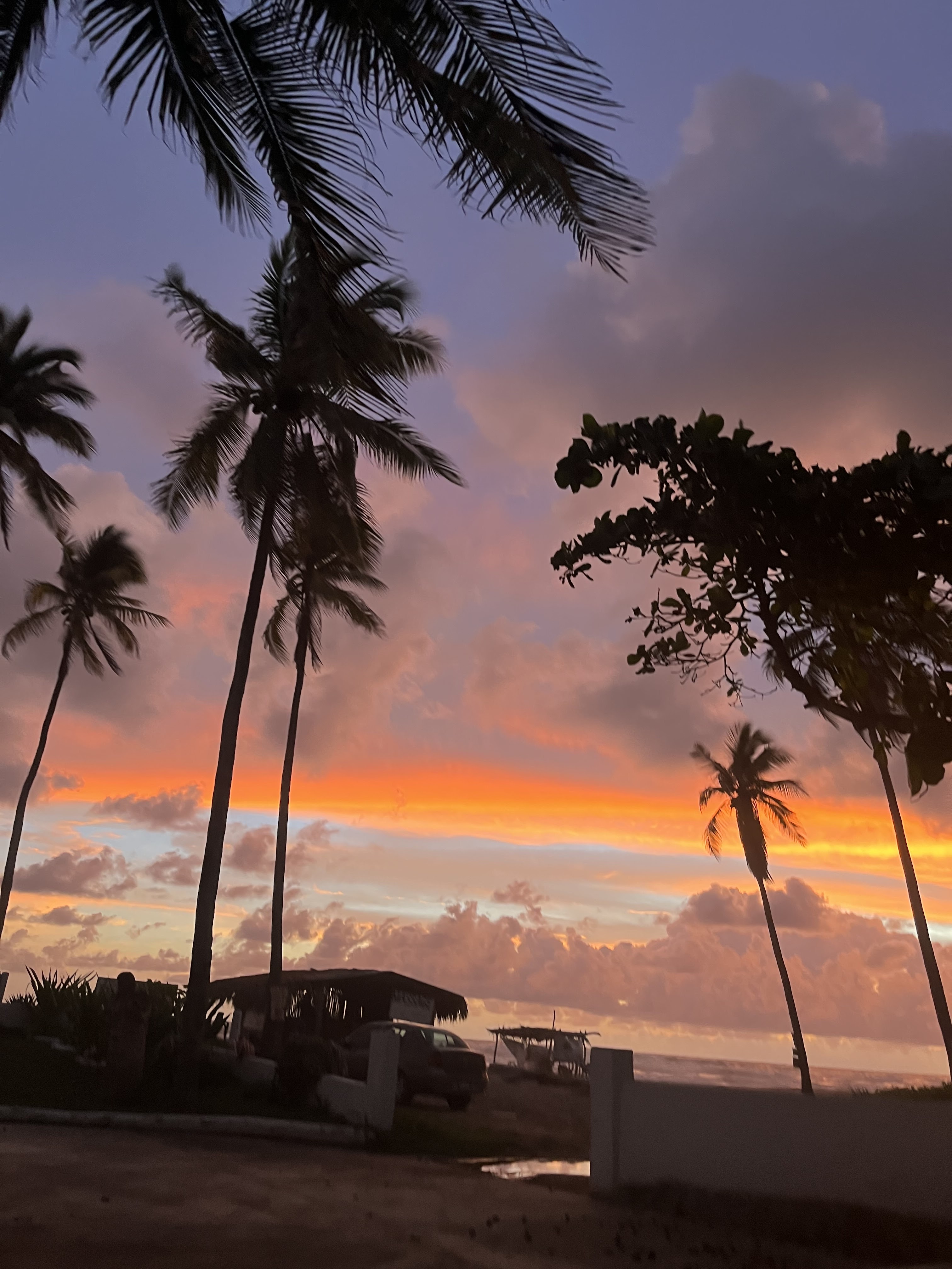 Restaurant Troncones Steak House image 10