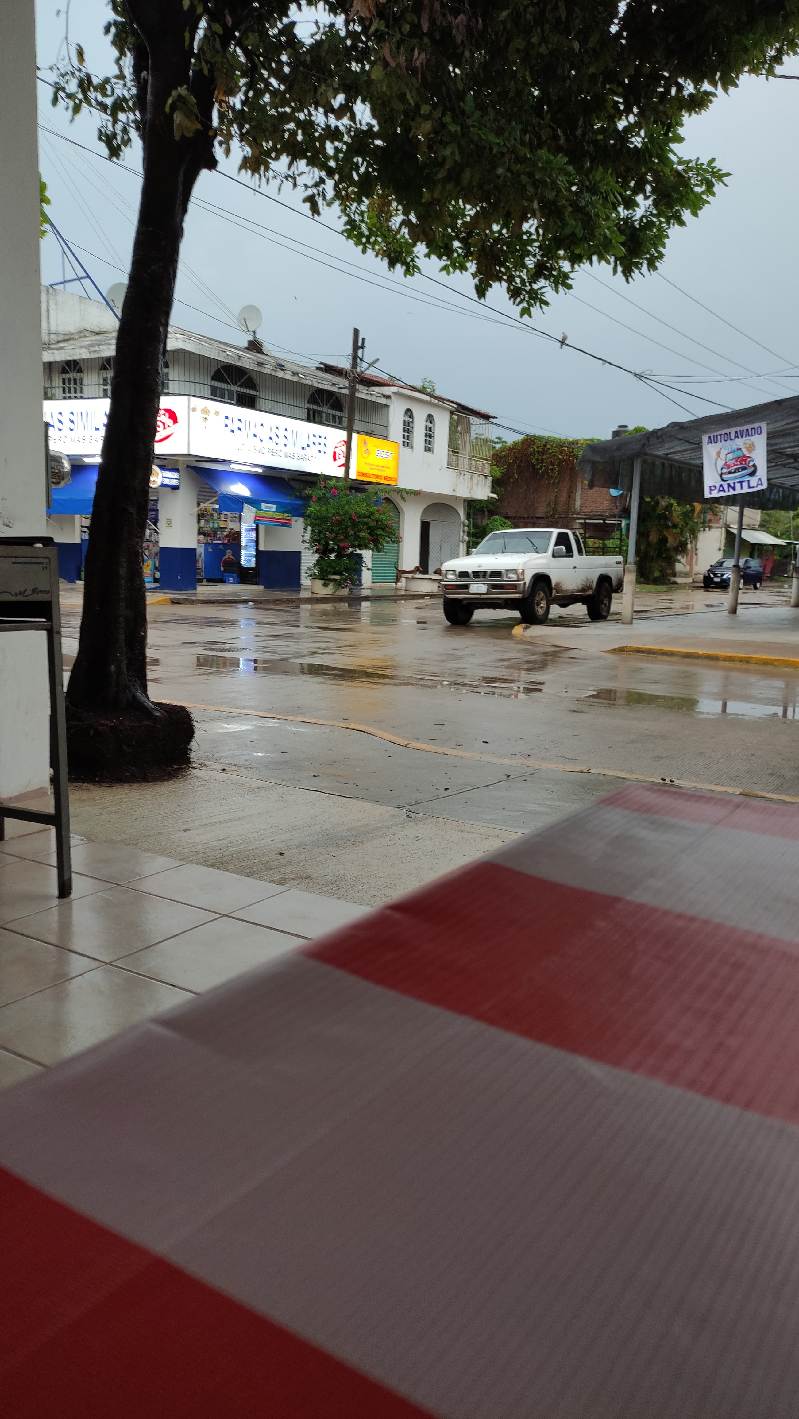 Antojitos Mexicanos "Rueda" image 5