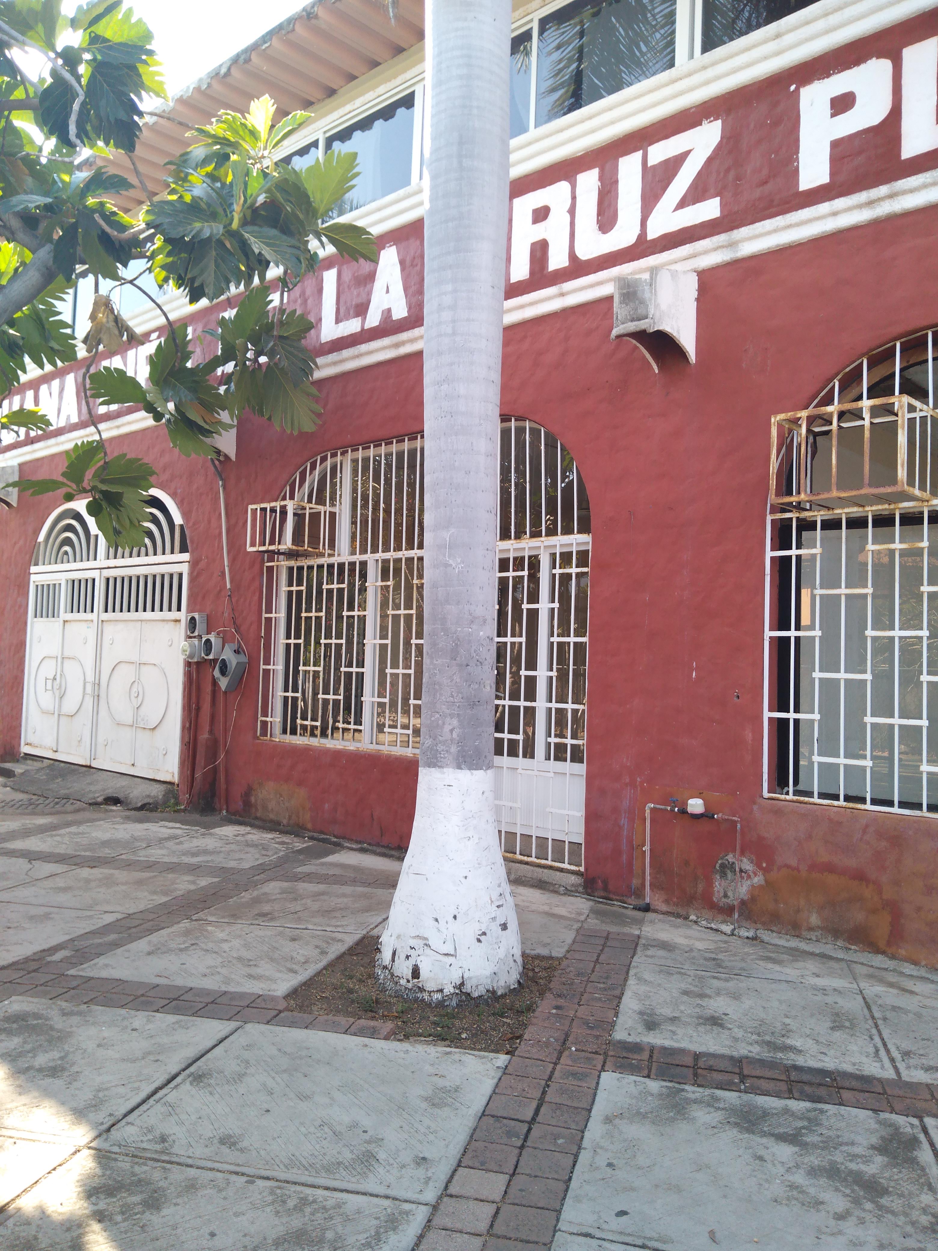 " Fonda La Palapa" image 8