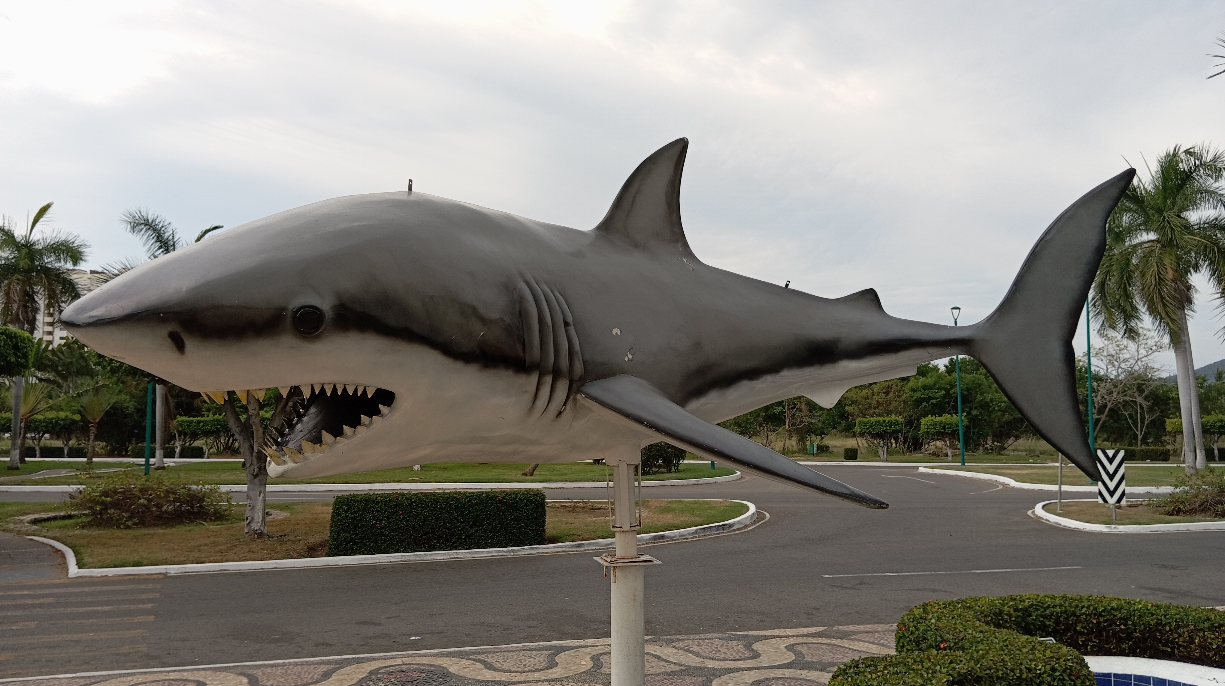 Restaurant El Tiburón De La Costa image 4