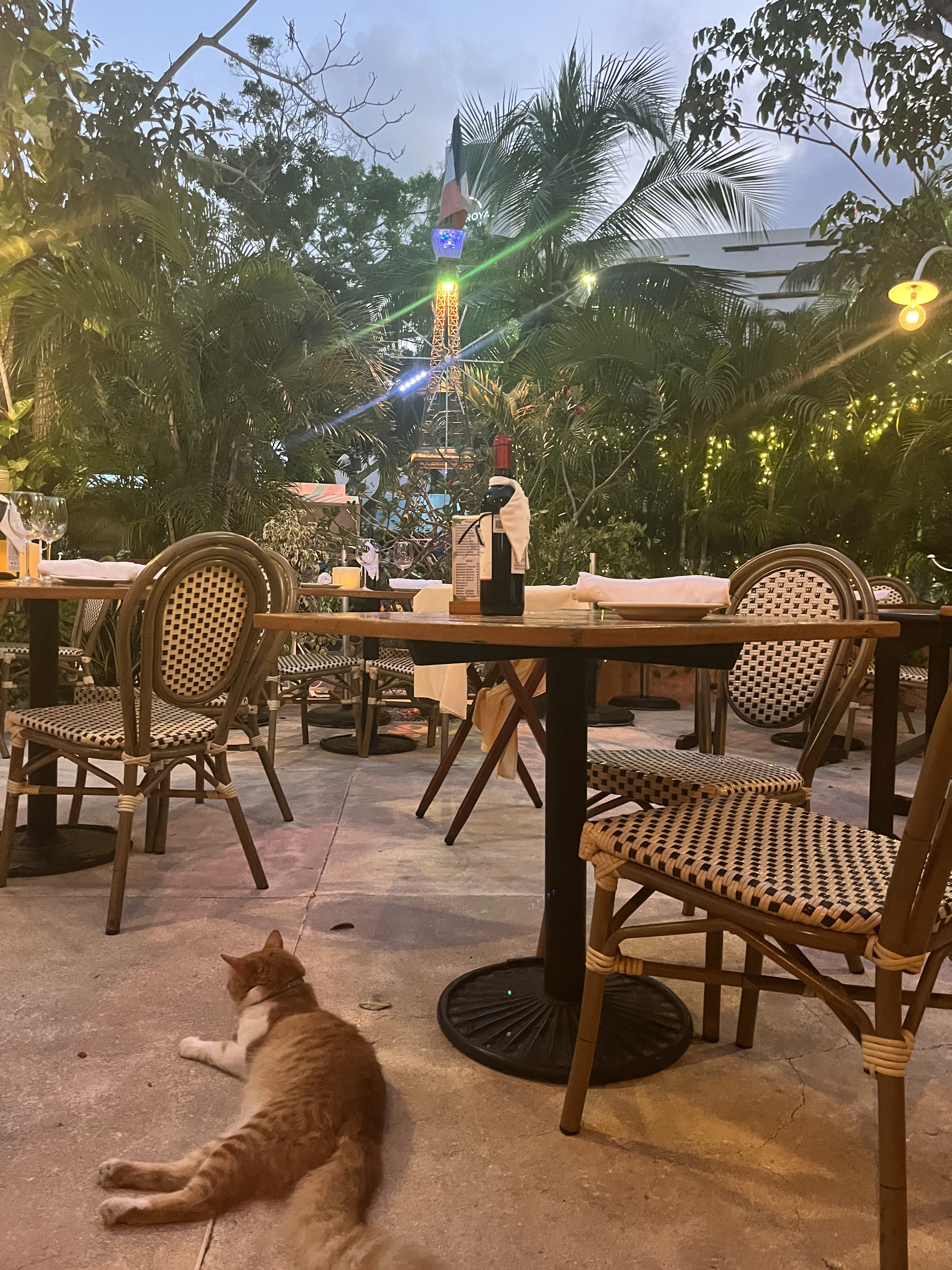 Bistro Soleiado image 8