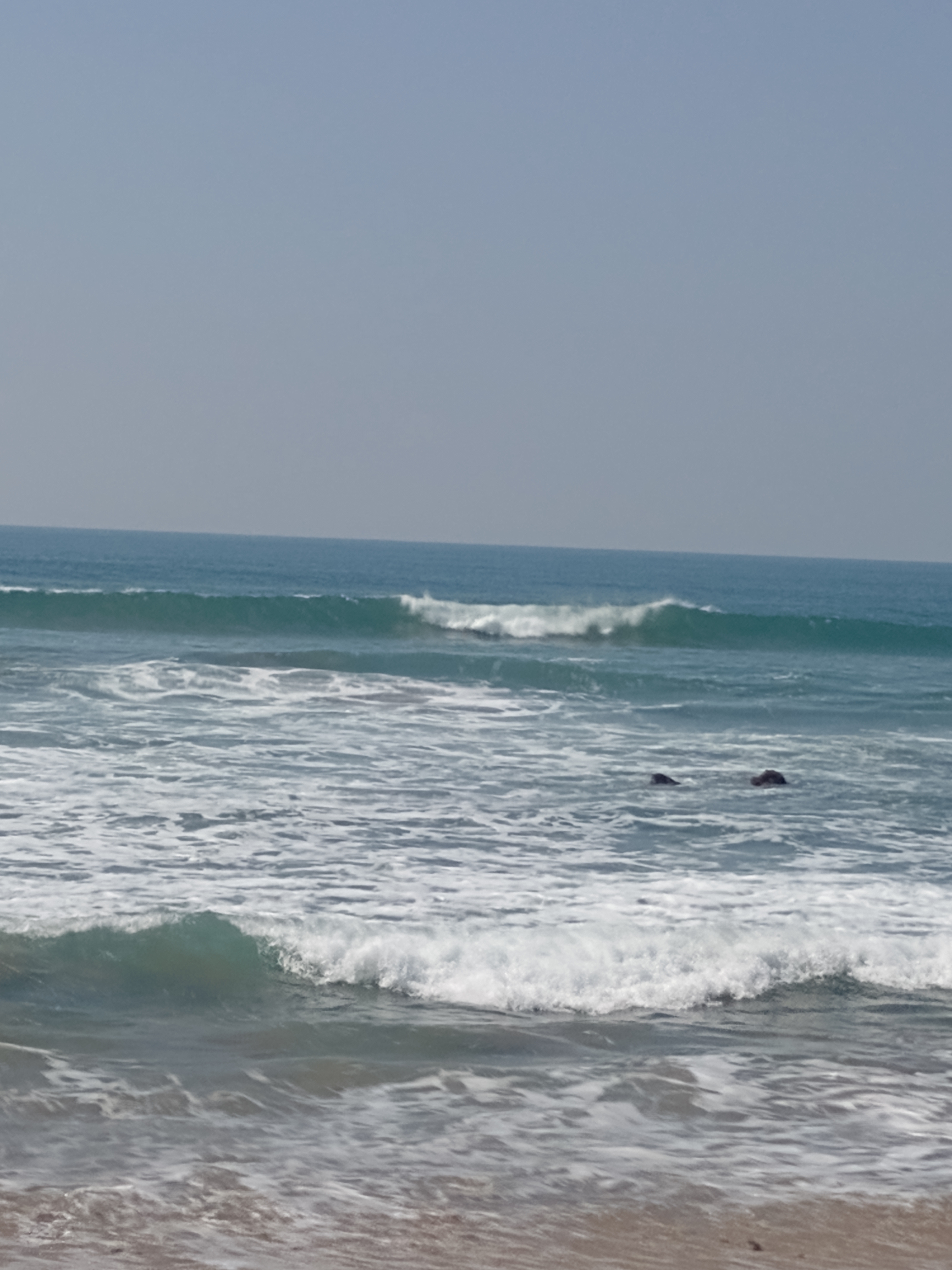 Restaurante 7 Mares image 5