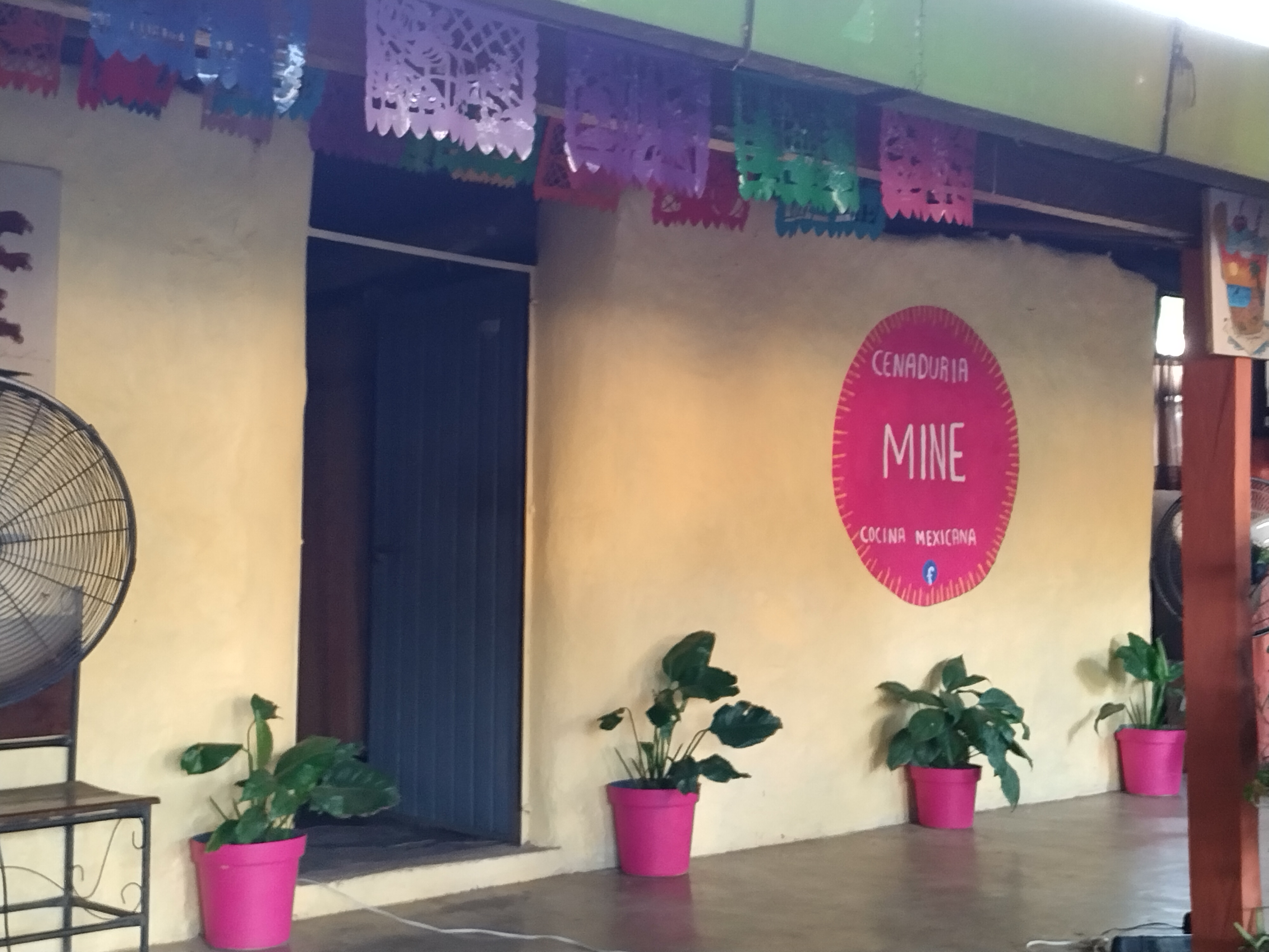 Cenaduria MINE image 10