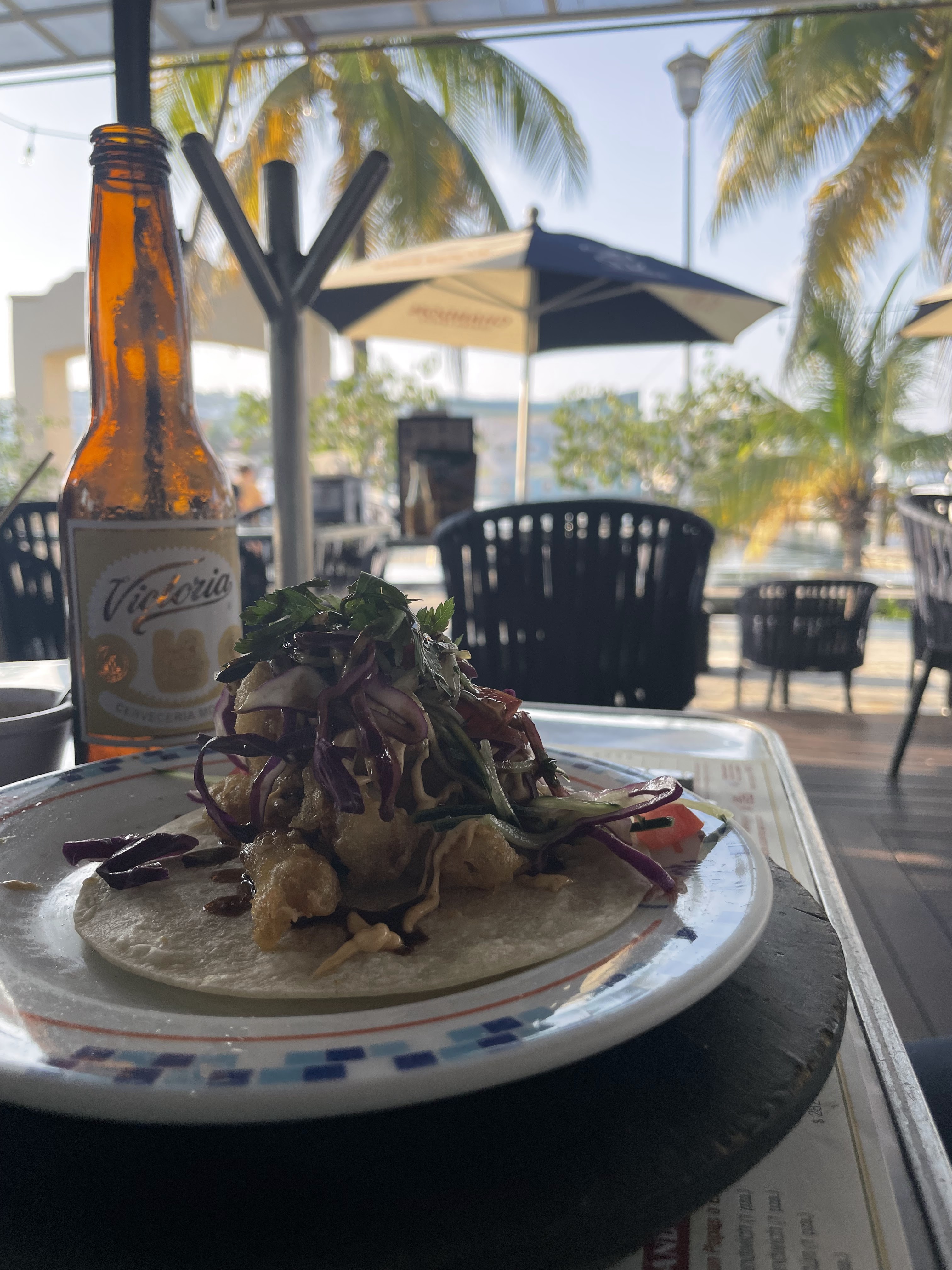 Fisher's Ixtapa image 5