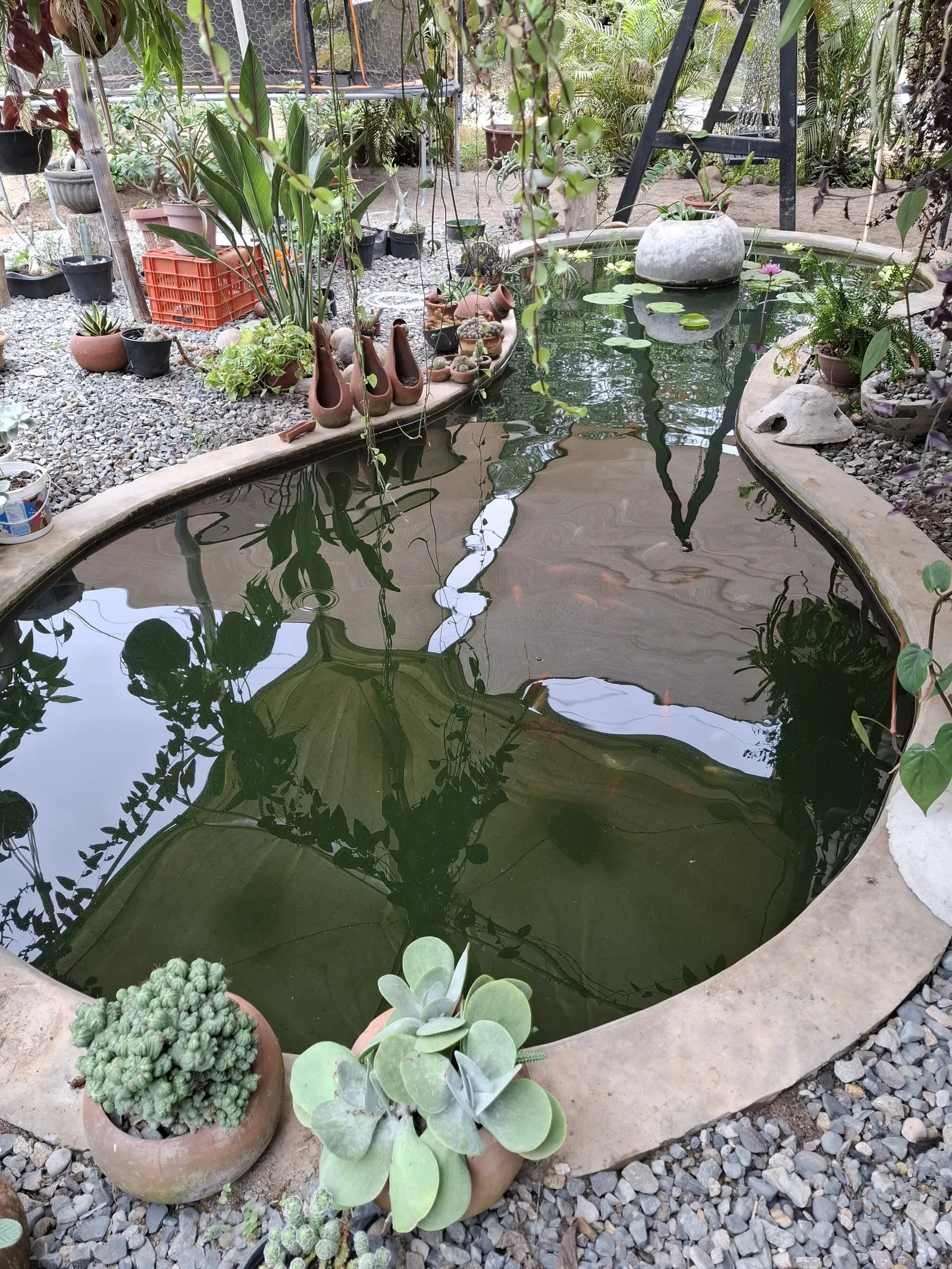 Heliconias Restaurant image 10