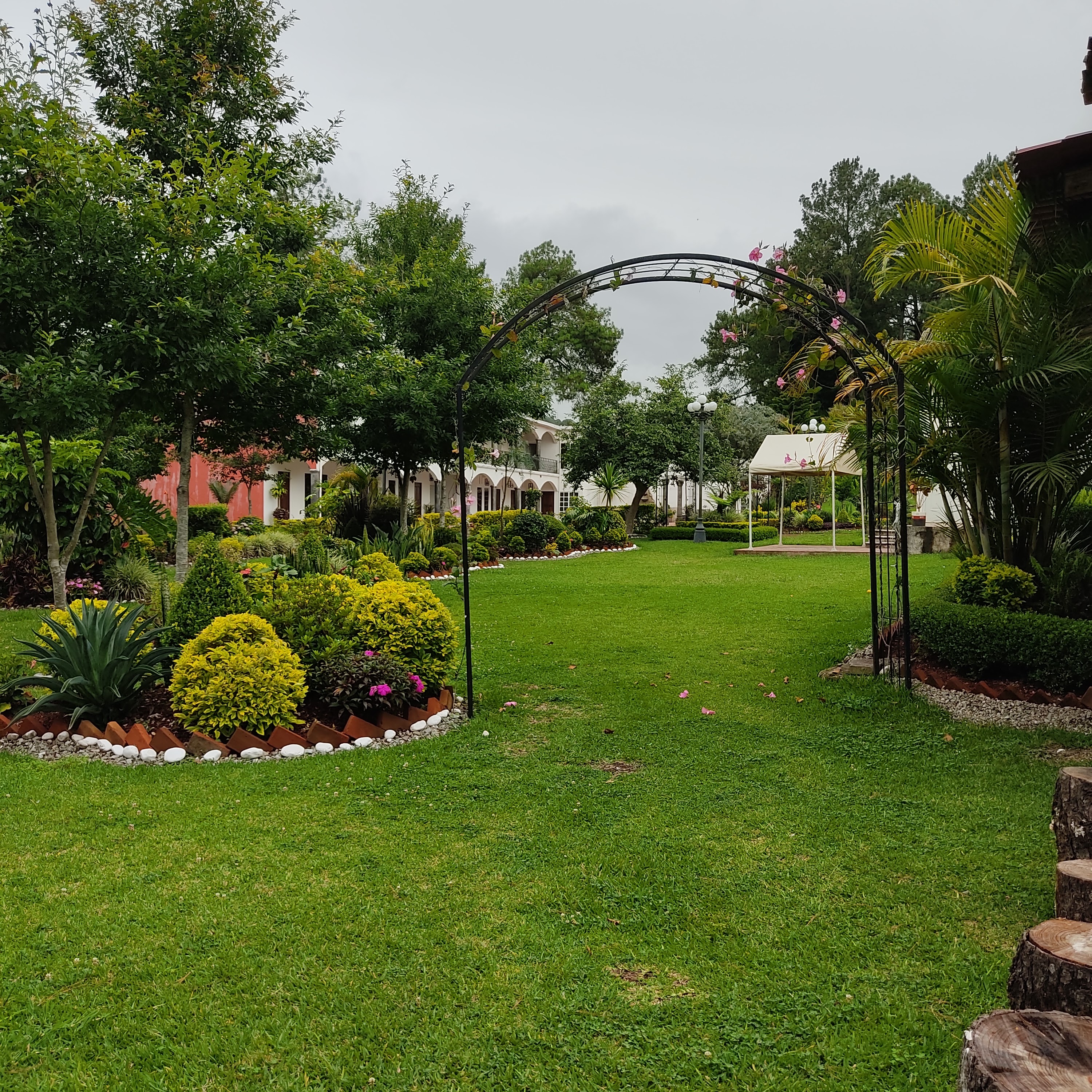 Restaurante Campo Nuevo image 6