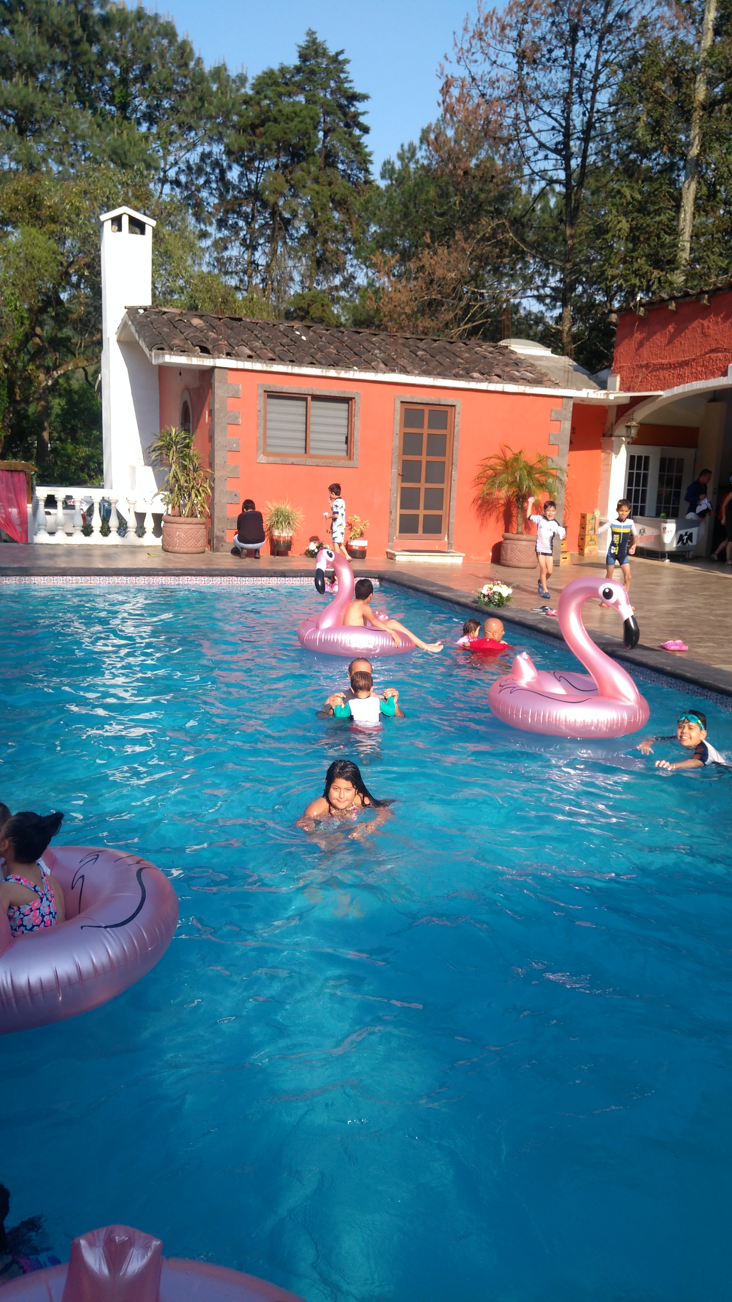 Restaurante Campo Nuevo image 8