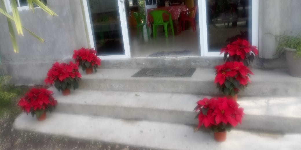 Restaurant Los Postes image 7