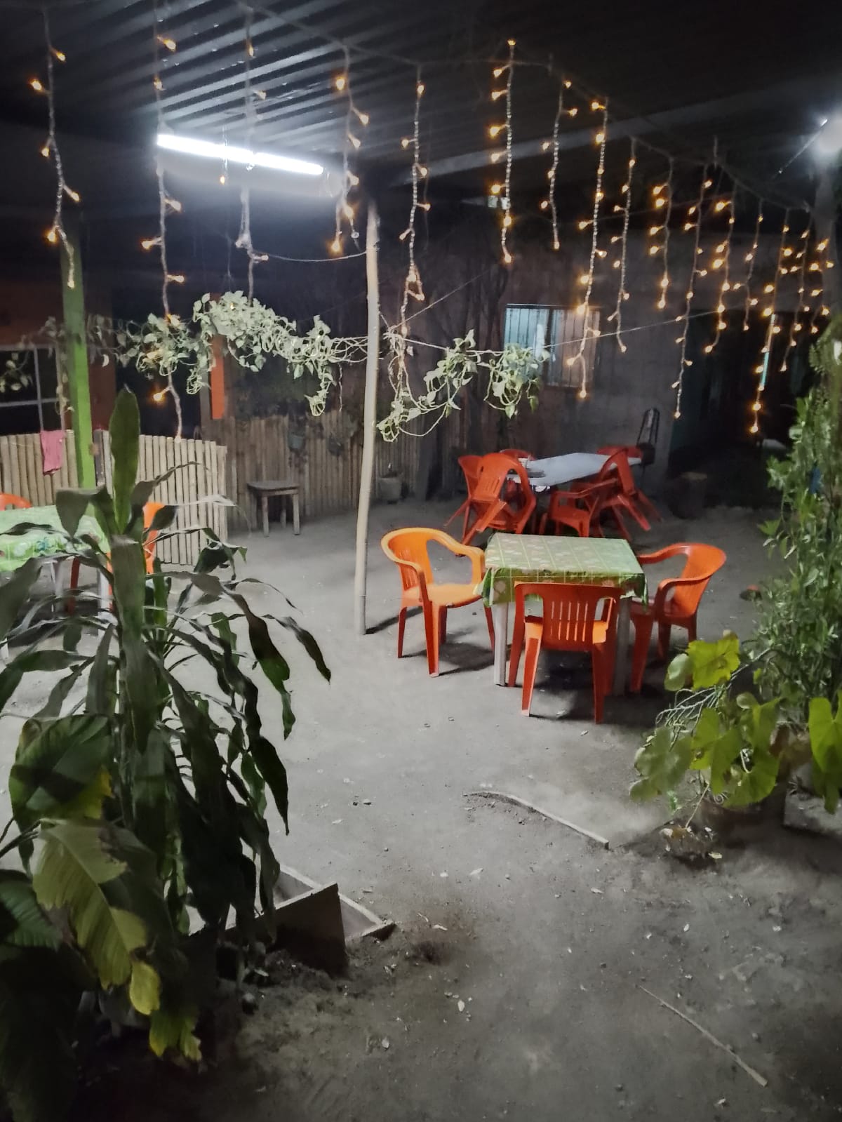 Taquería ever image 2