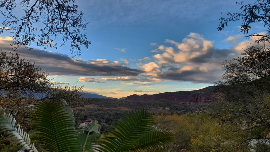 La Casa de Tierra Restaurante Bar image 3