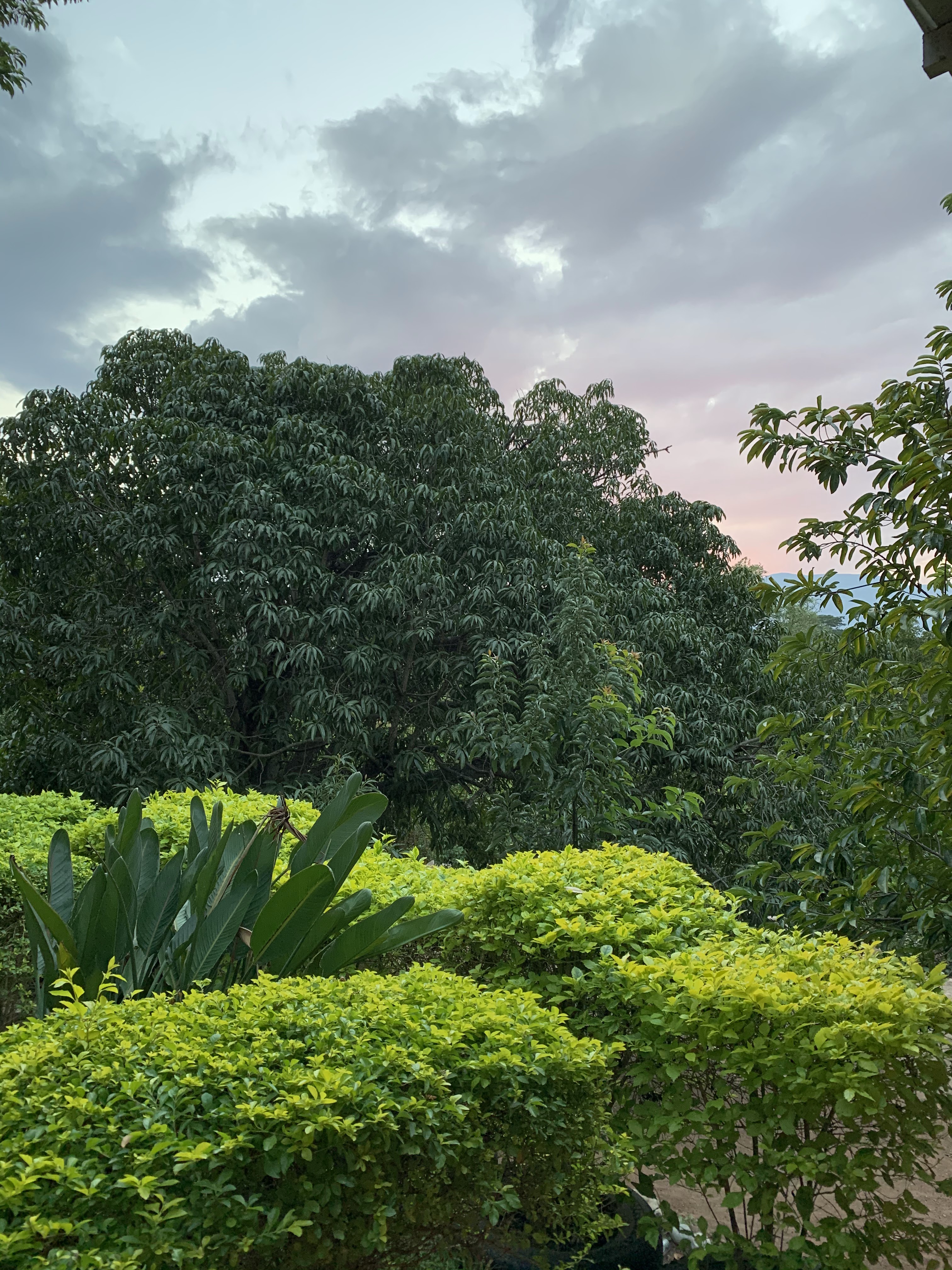 rancho hernanos mata image 7