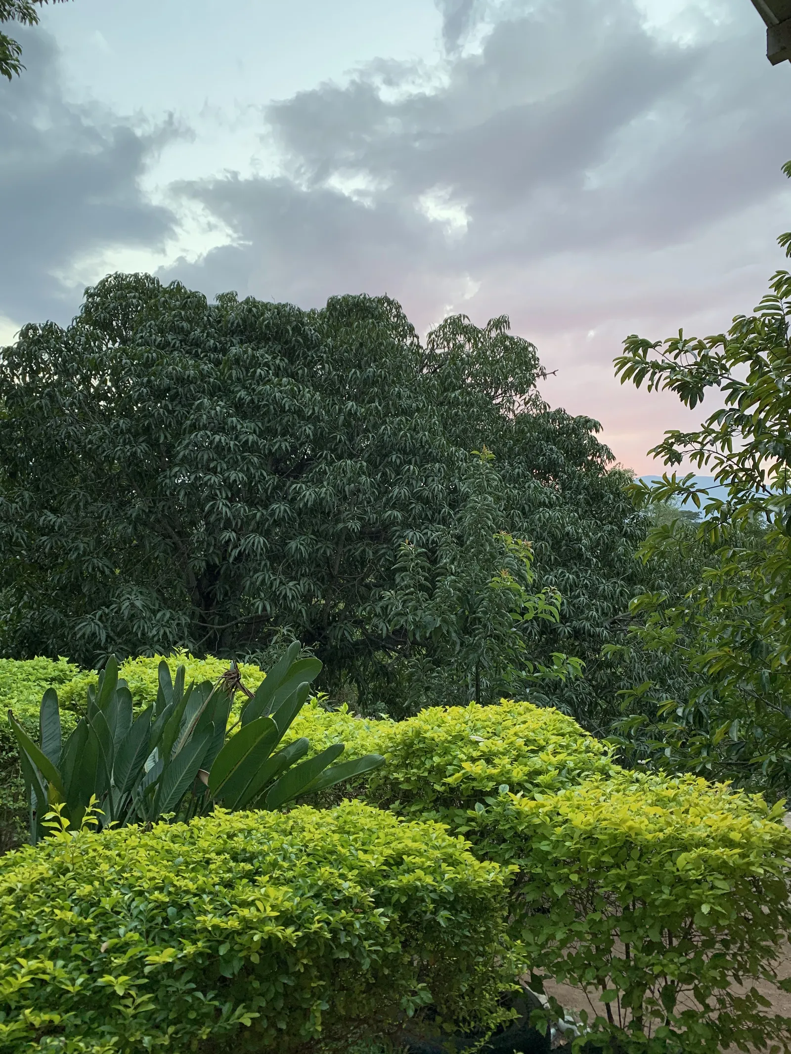 rancho hernanos mata image 7