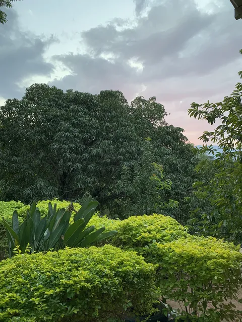 rancho hernanos mata image 7