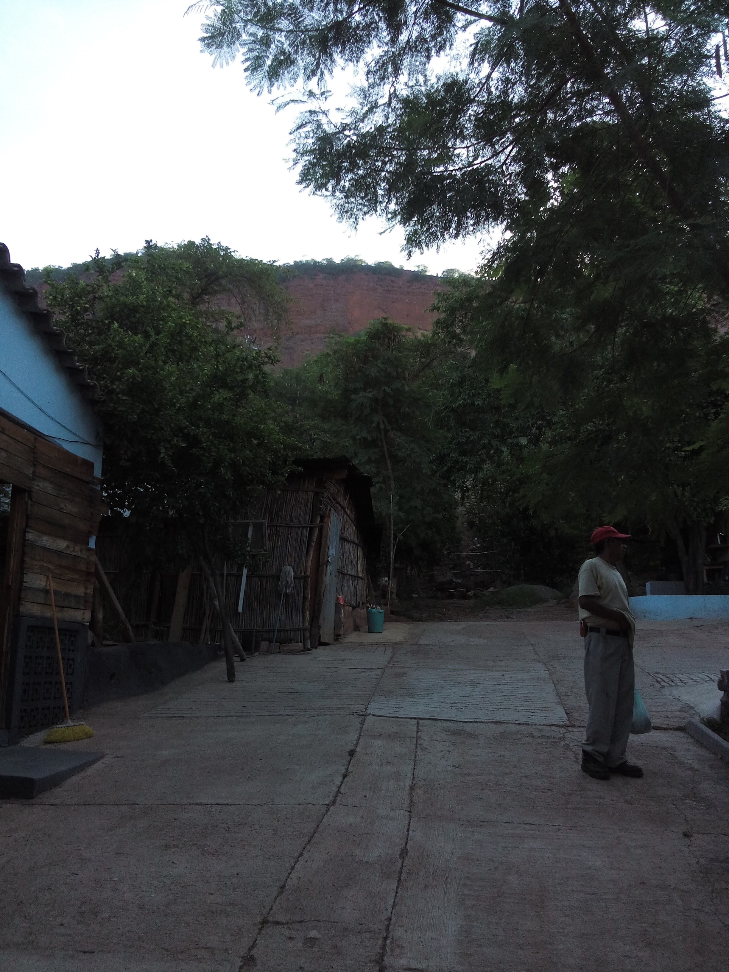 Antojitos Vero´s image 4