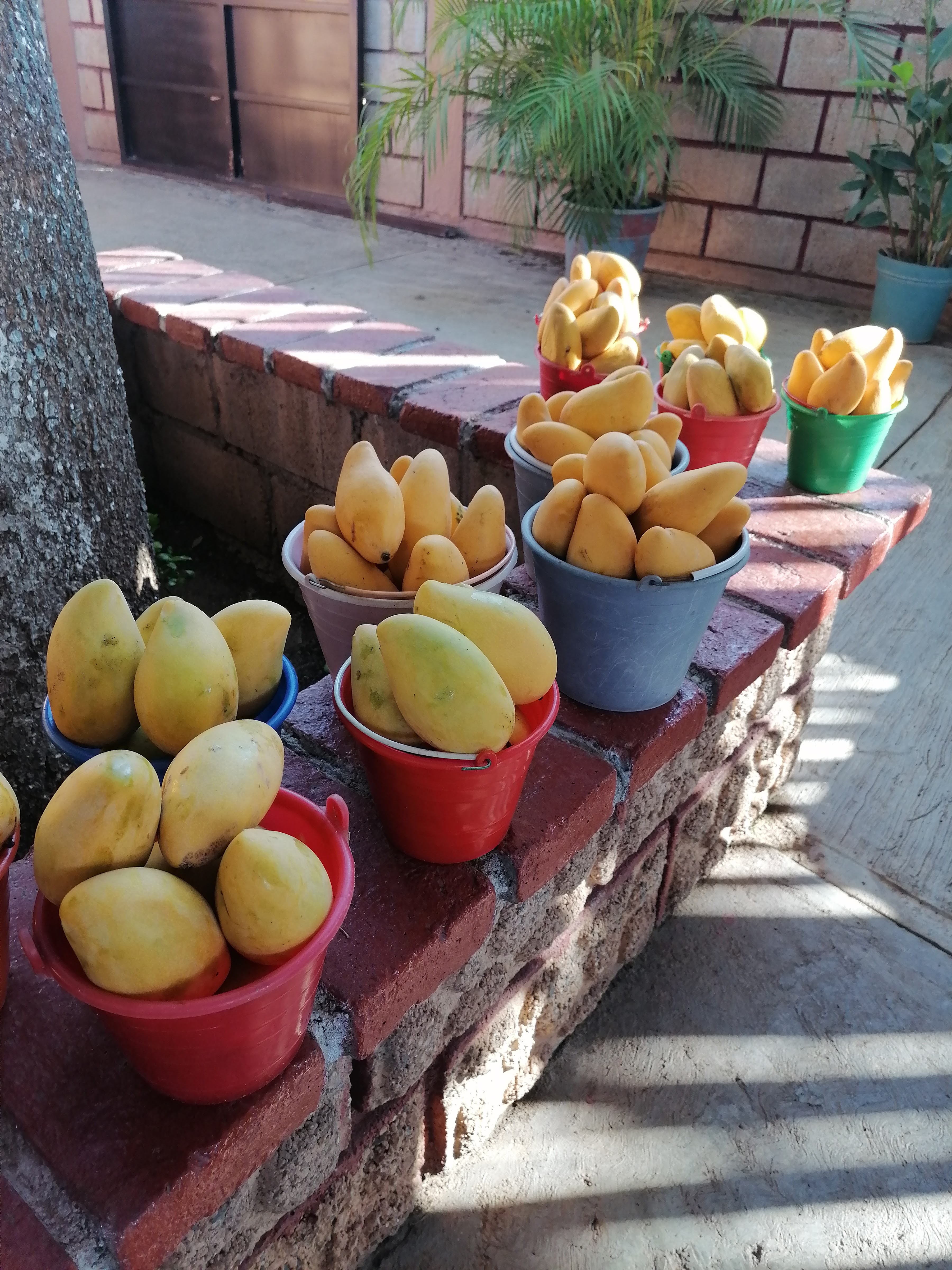 Comedor La Abuelita image 10