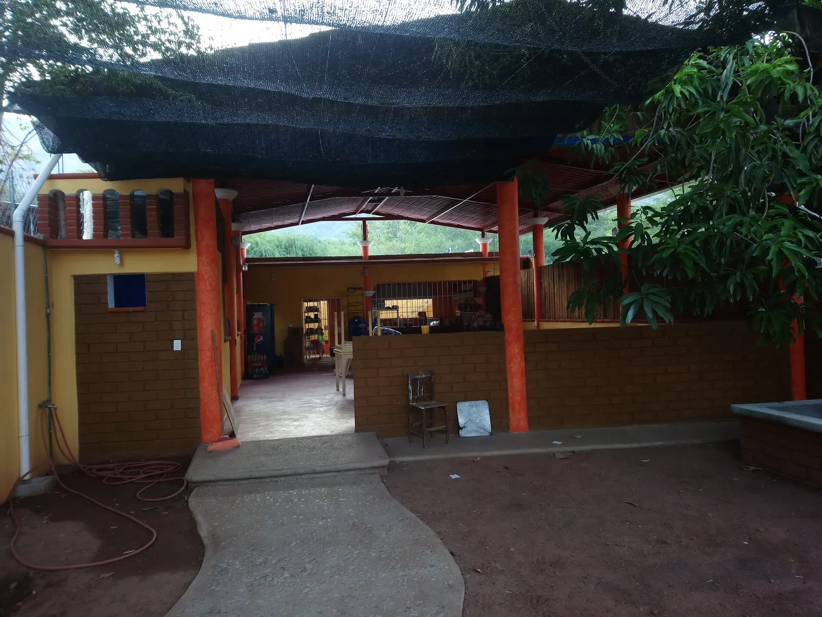 Borinquen image 3