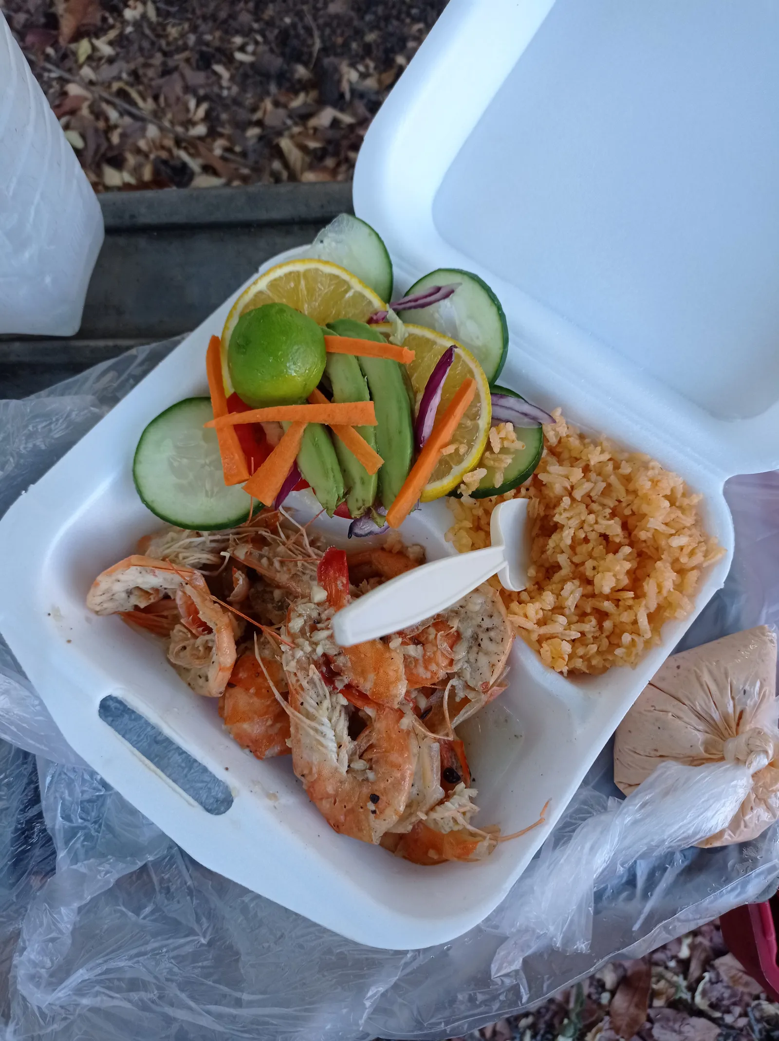 Borinquen image 9
