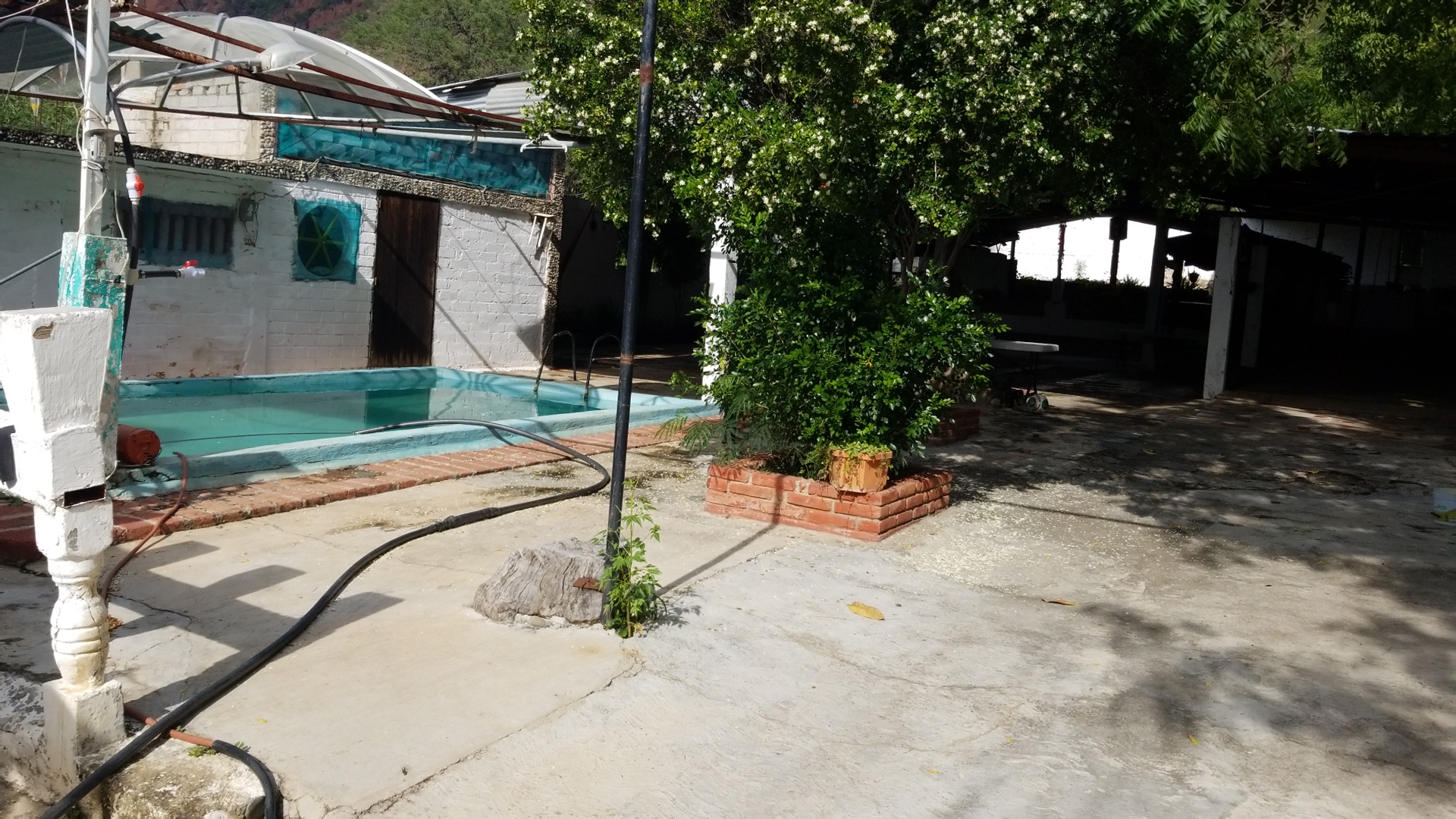 Comedor "Rosaura" image 6