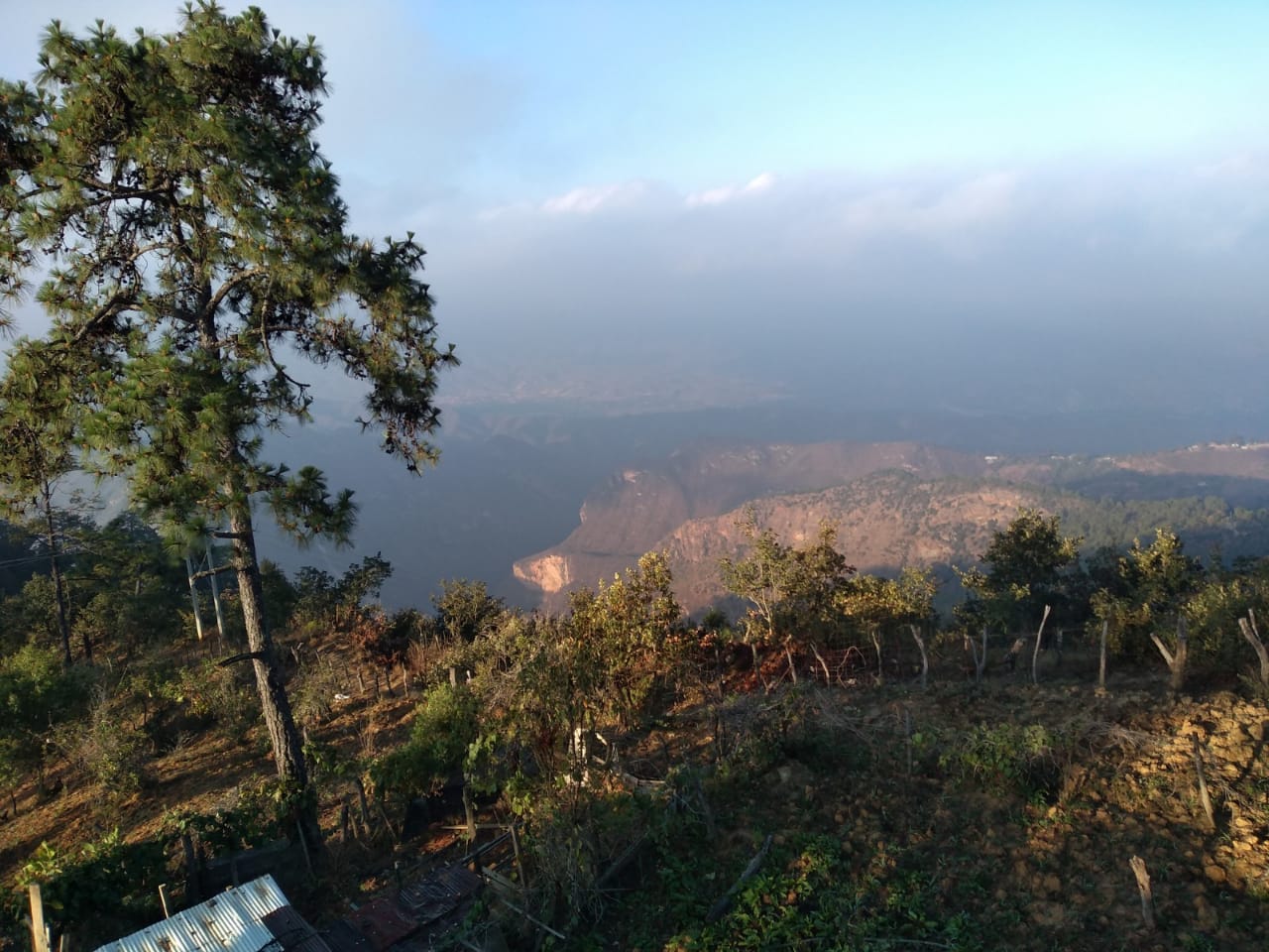 Comedor El Mirador image 3