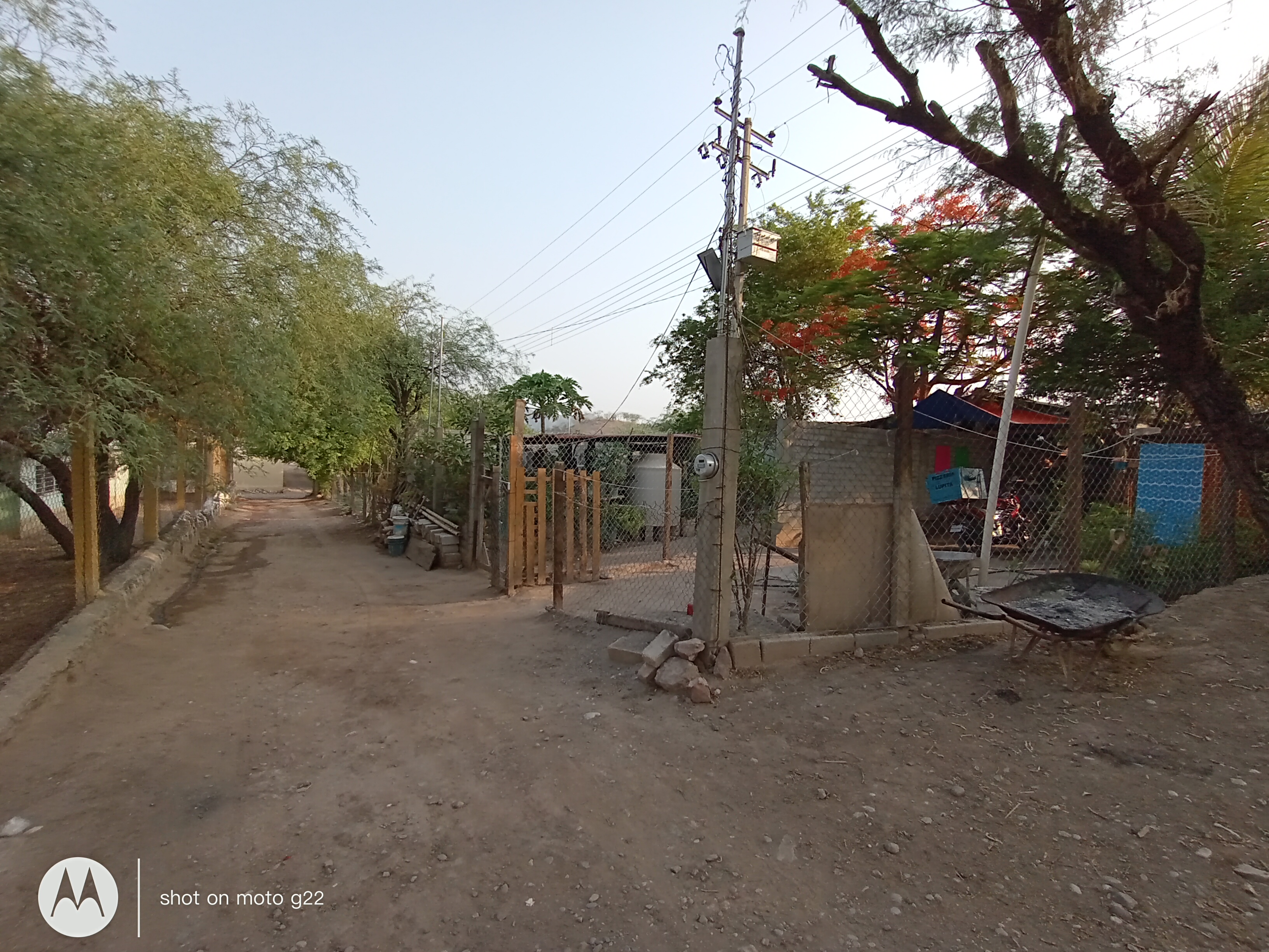 Pizzería Lupita image 3