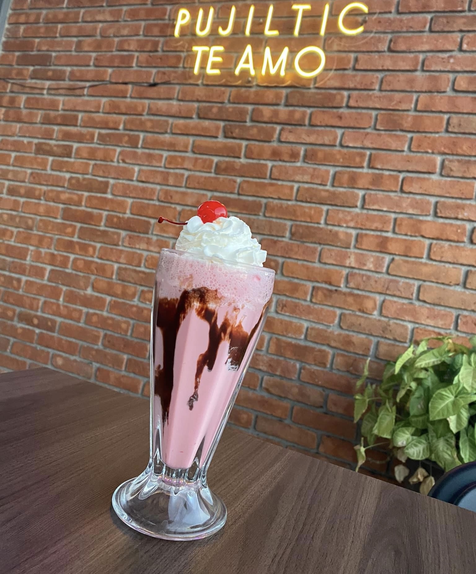 Terraza Zona Cañera image 8