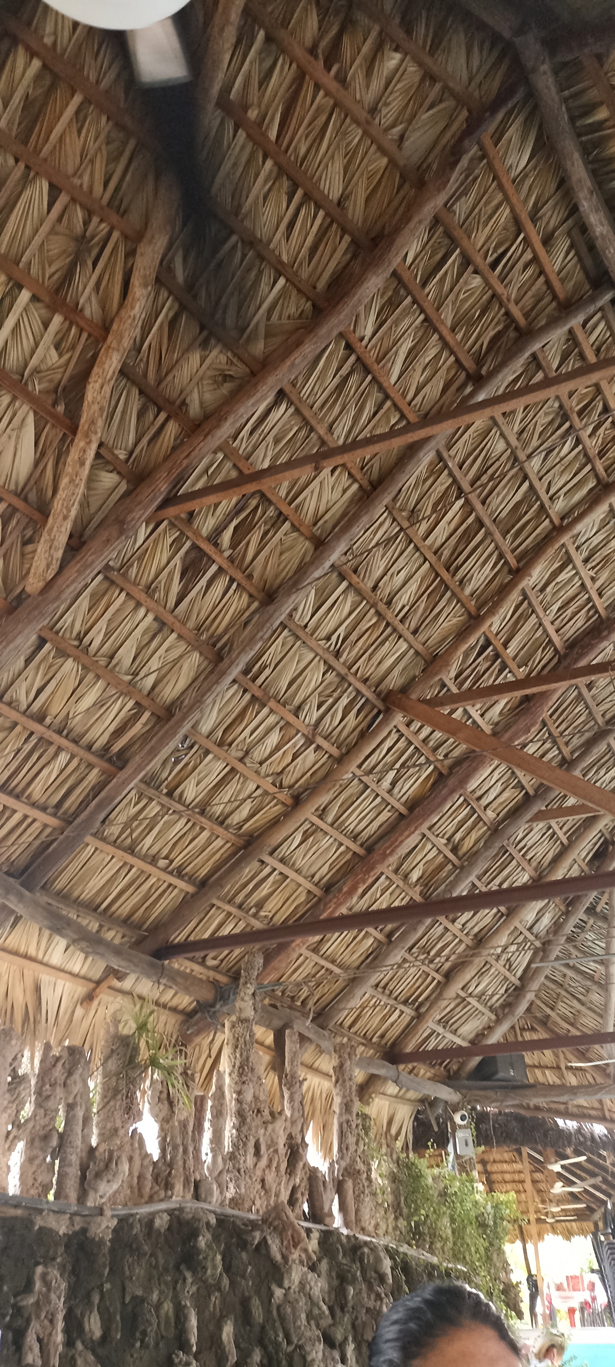 El Manantial image 1