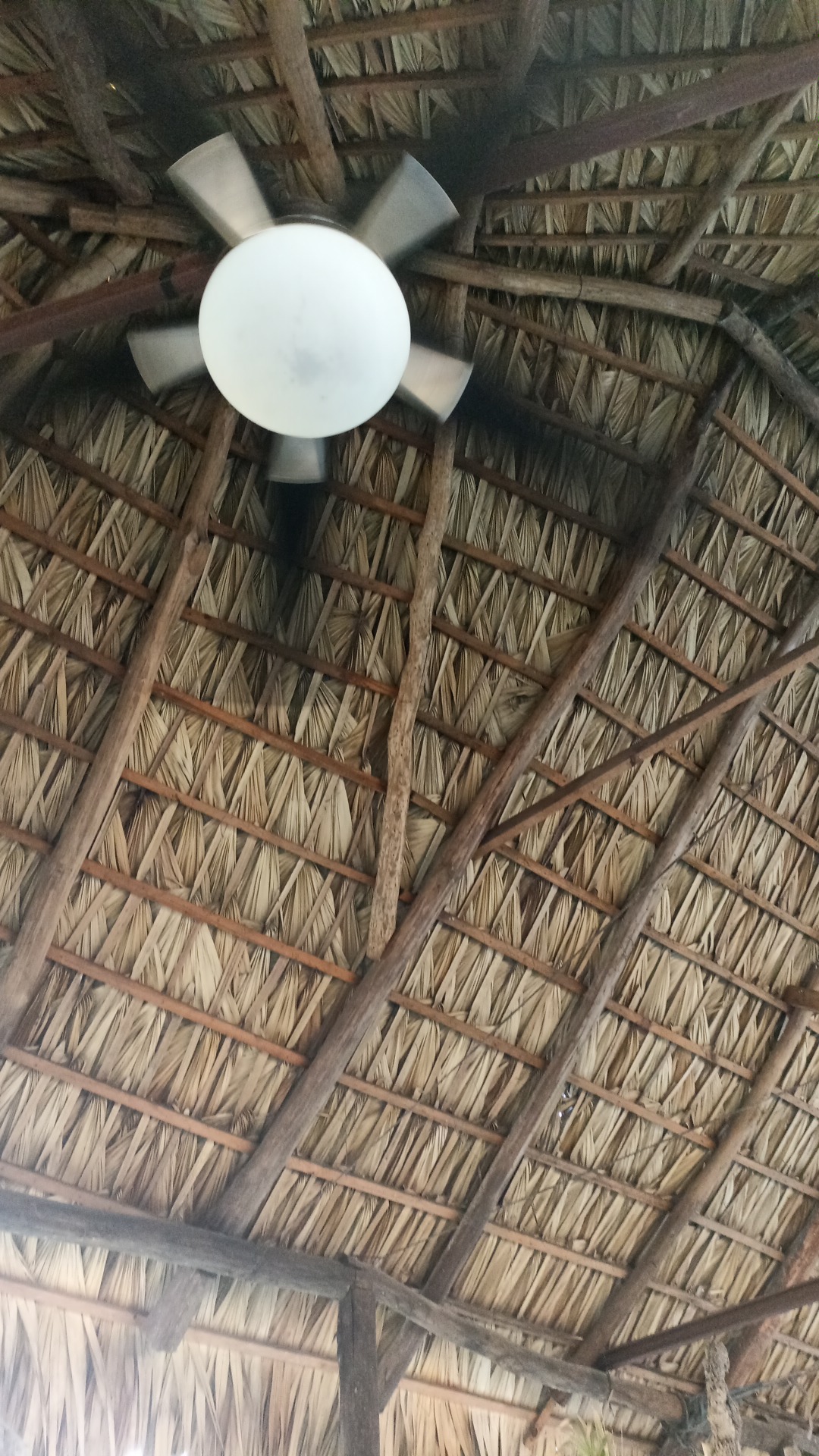 El Manantial image 7