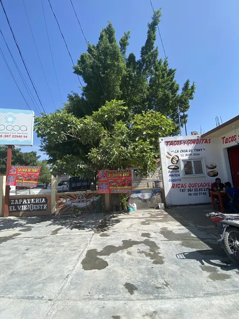 La casa de Toni image 3