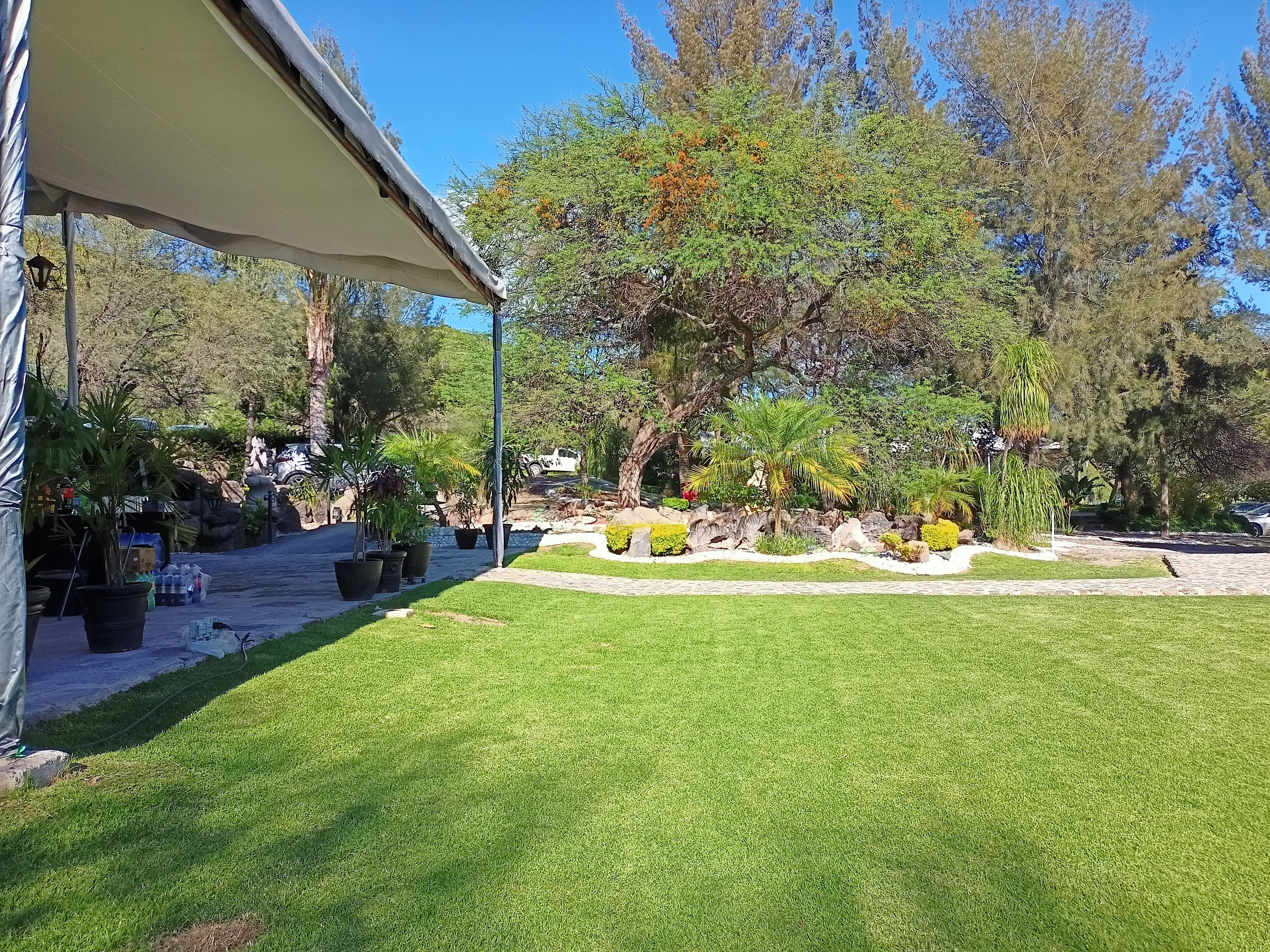 Hacienda de León Restaurante image 4