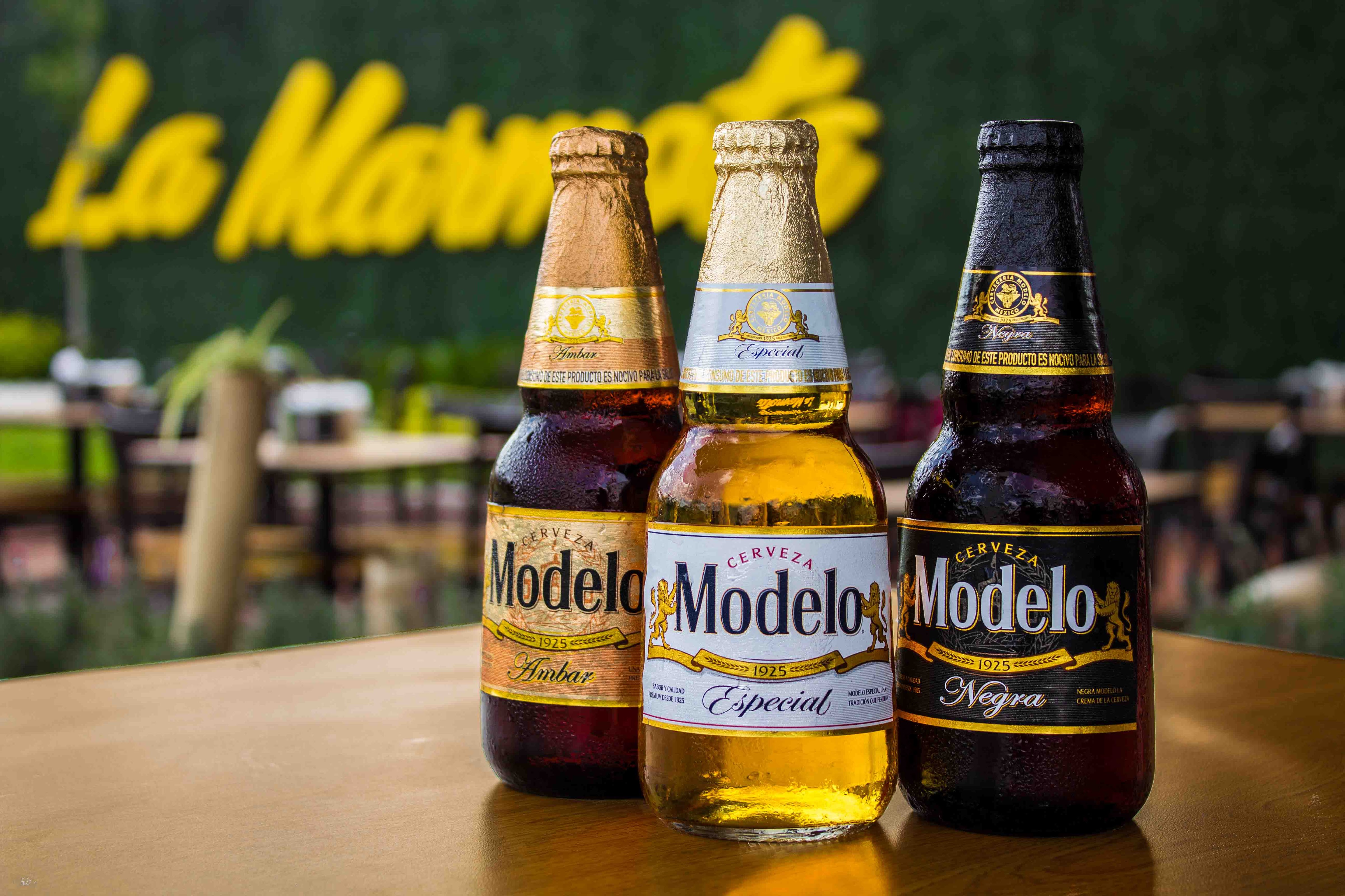 La Marmota Zibatá image 6