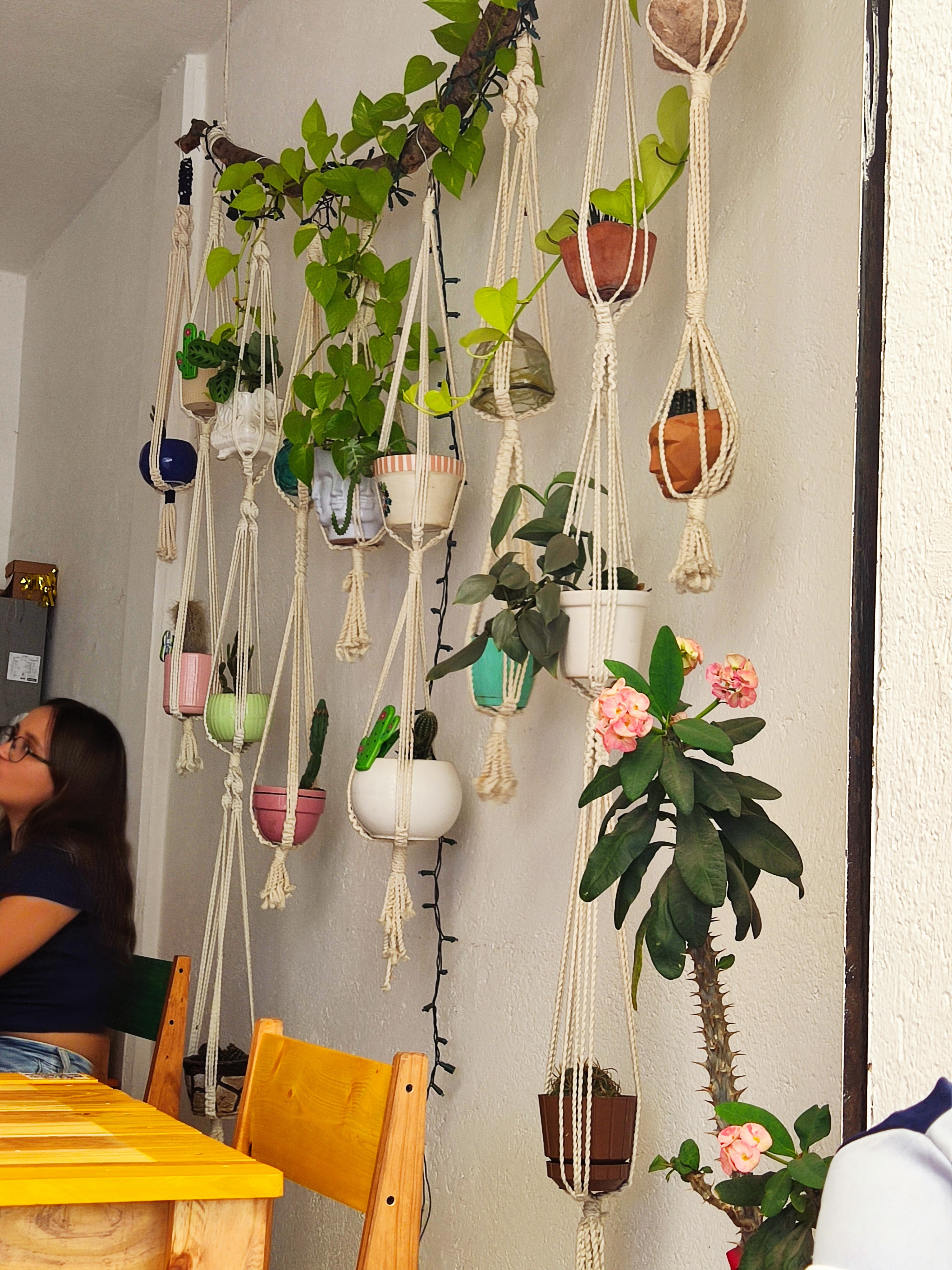 Caftus Restaurante image 6