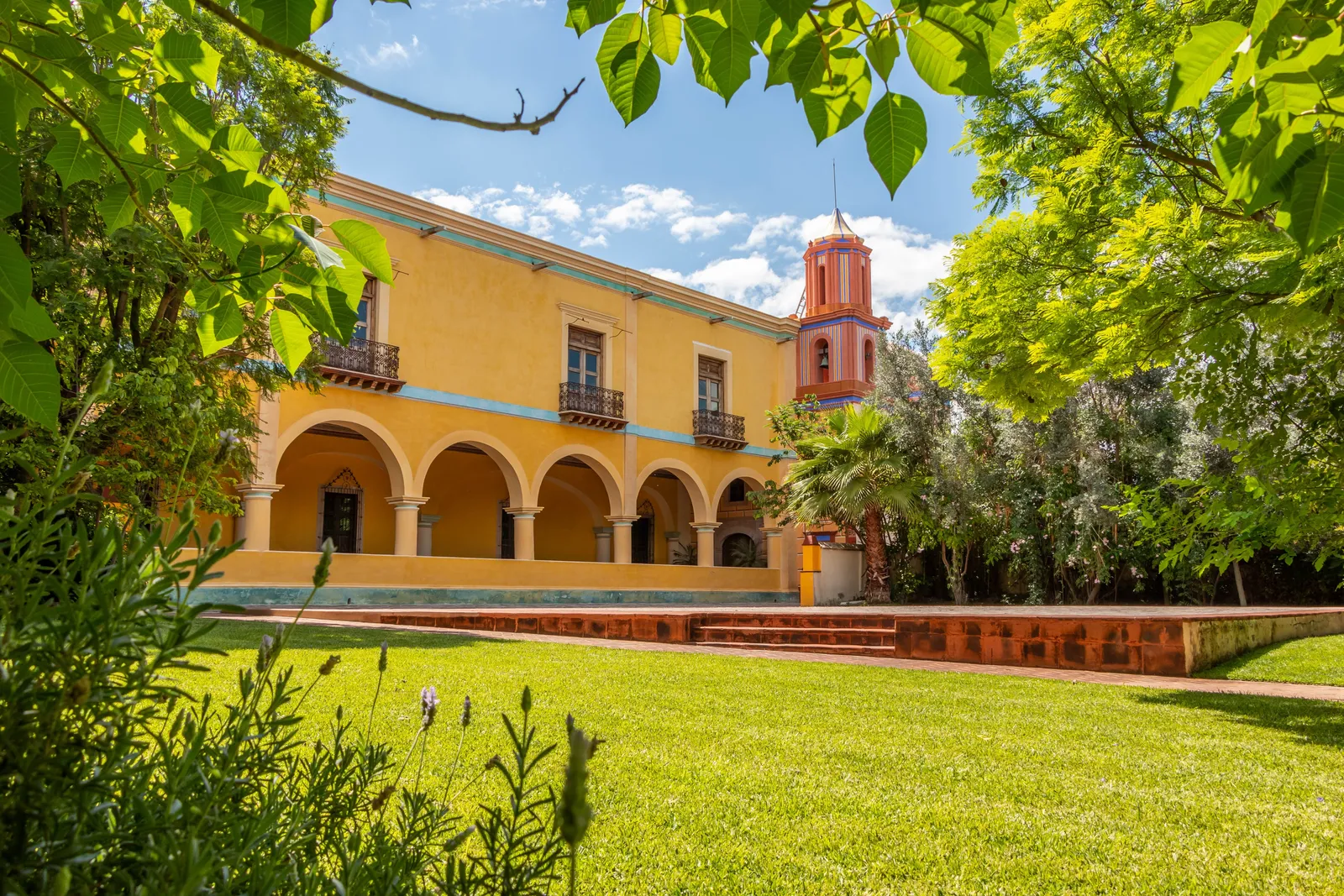 Restaurante Los Olivos de Ex-Hacienda El Lobo image 5