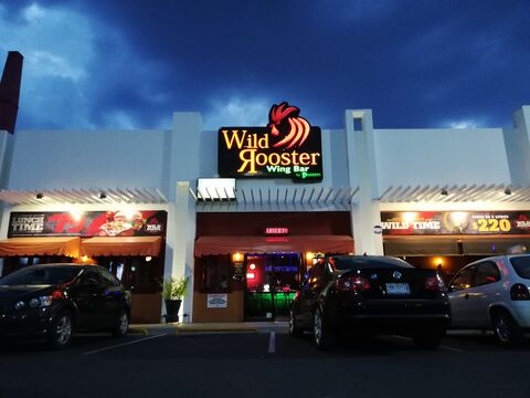 Wild Rooster Celaya image 1