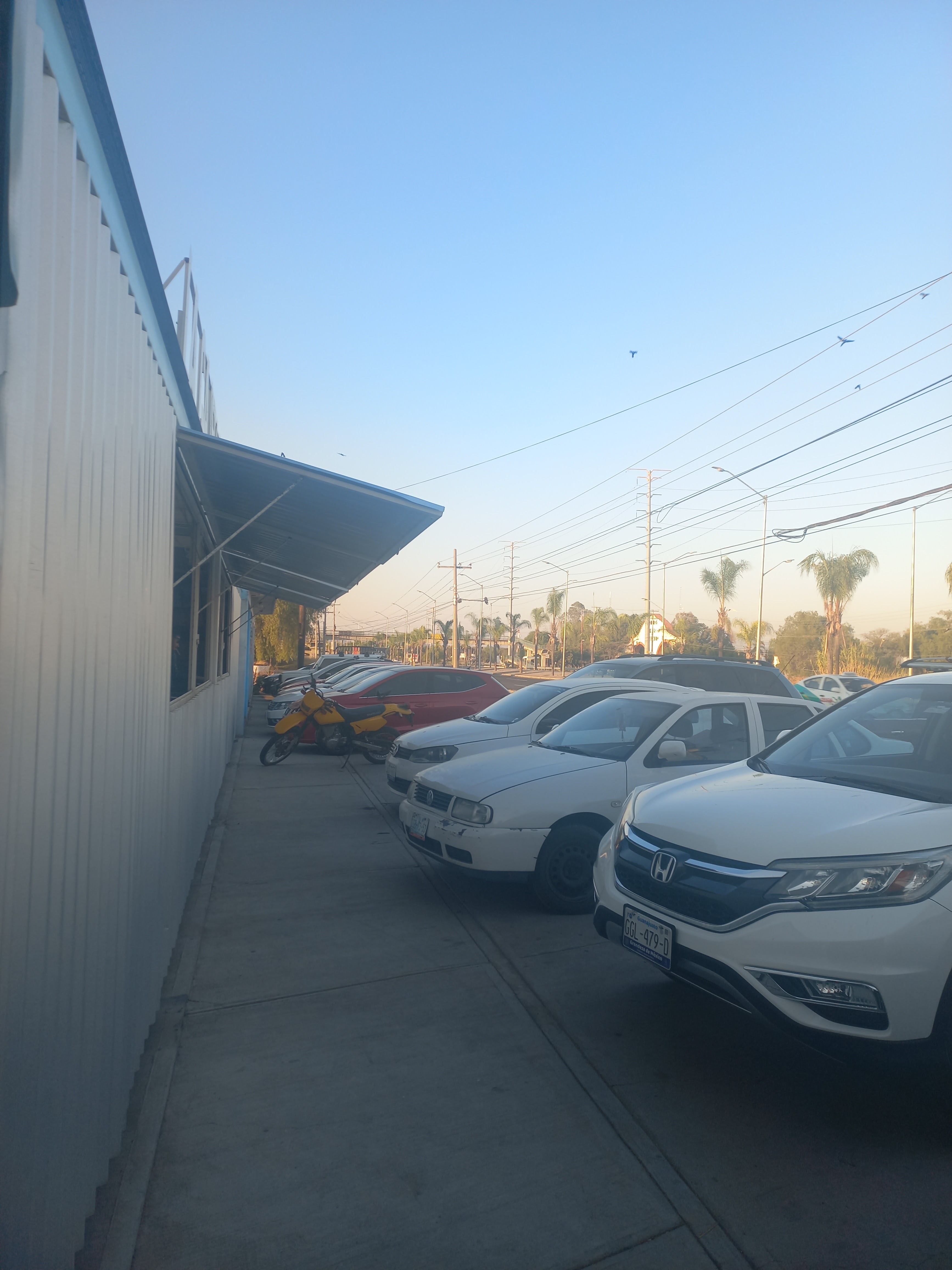 Marisqueando Celaya image 9