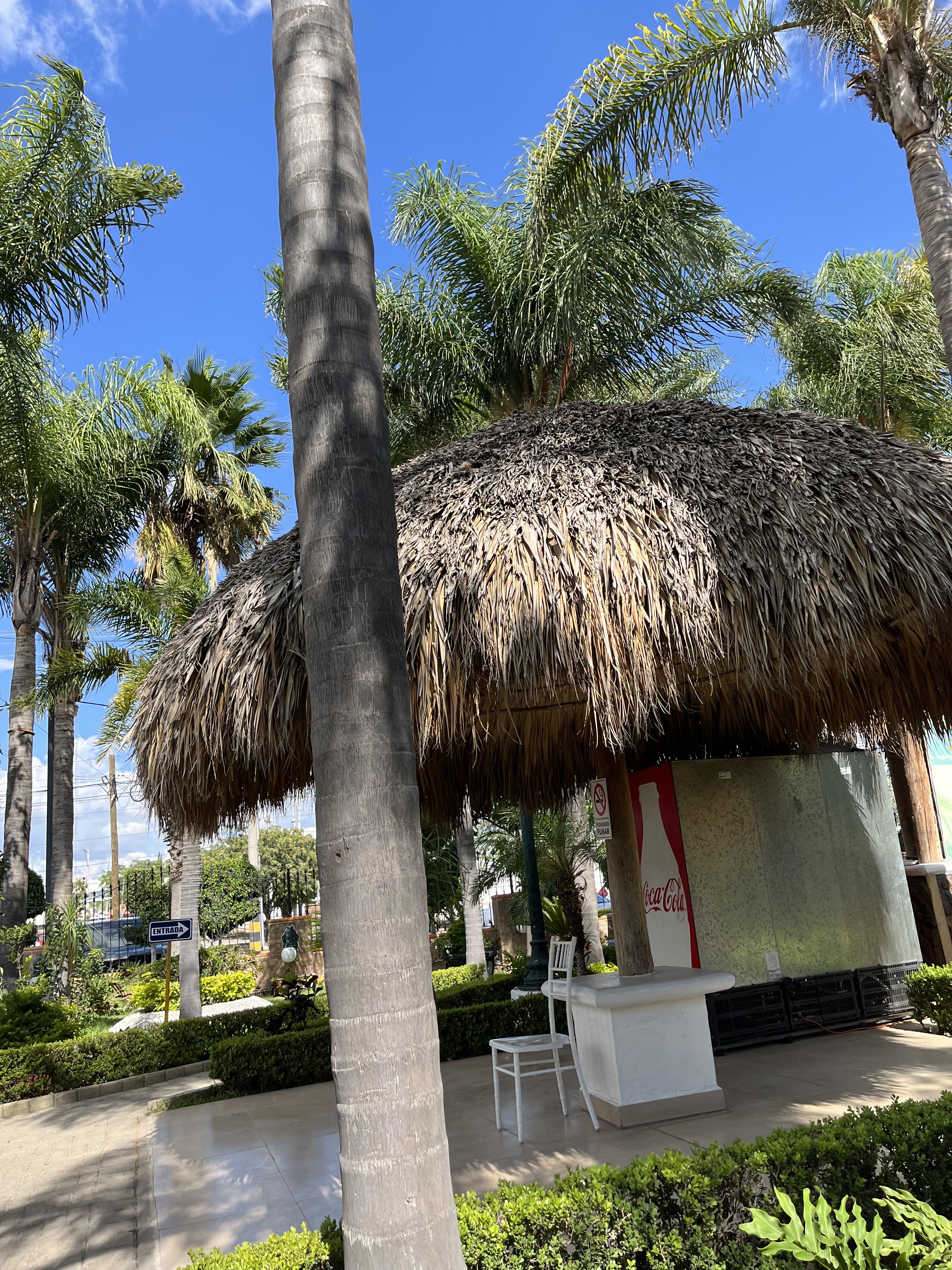 Mariscos Chava image 4