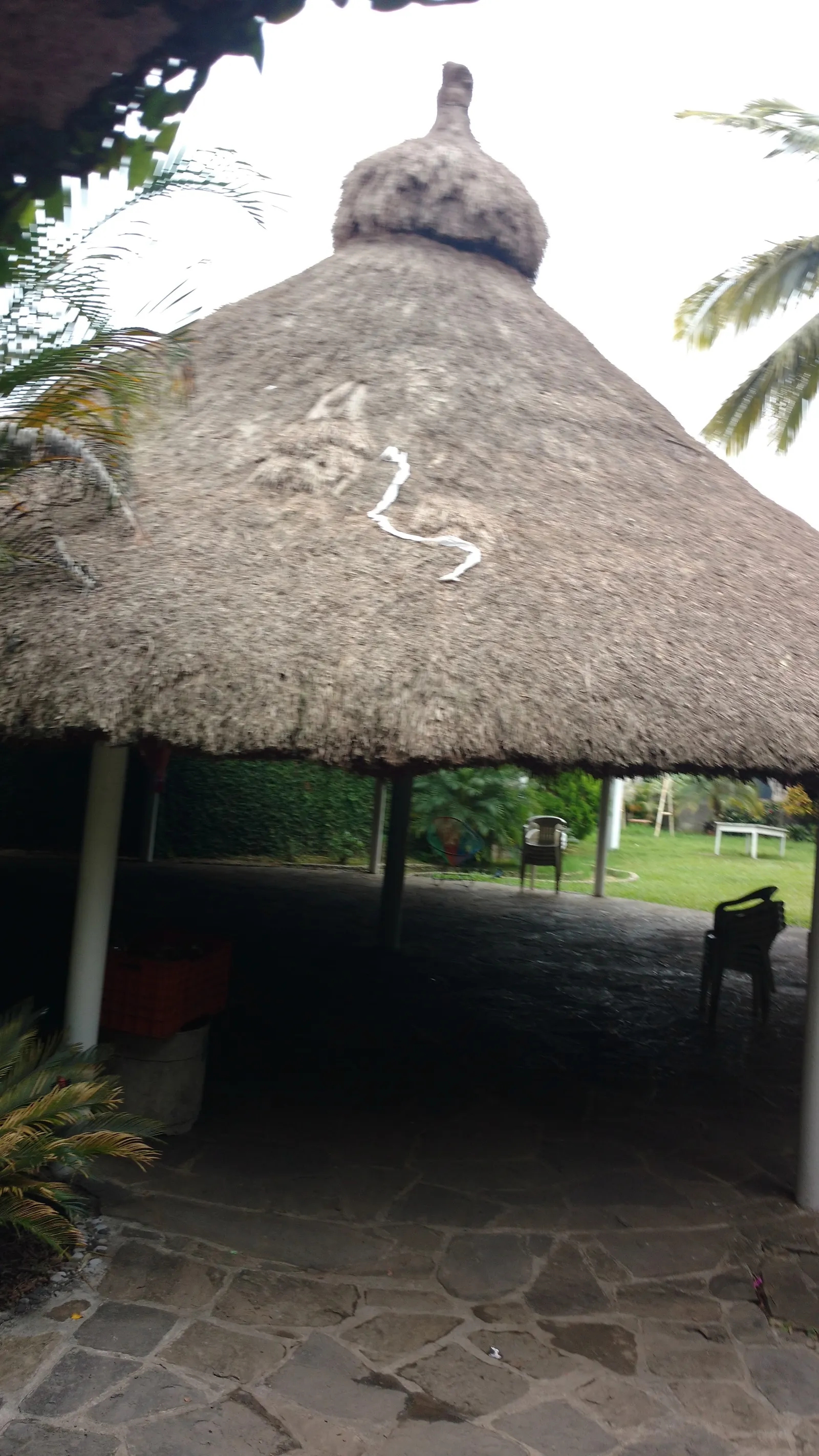 La Hacienda image 4