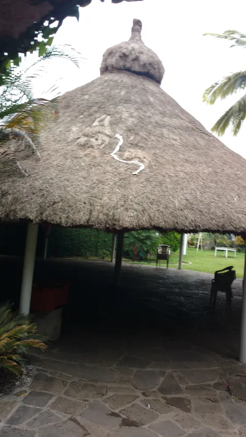 La Hacienda image 4
