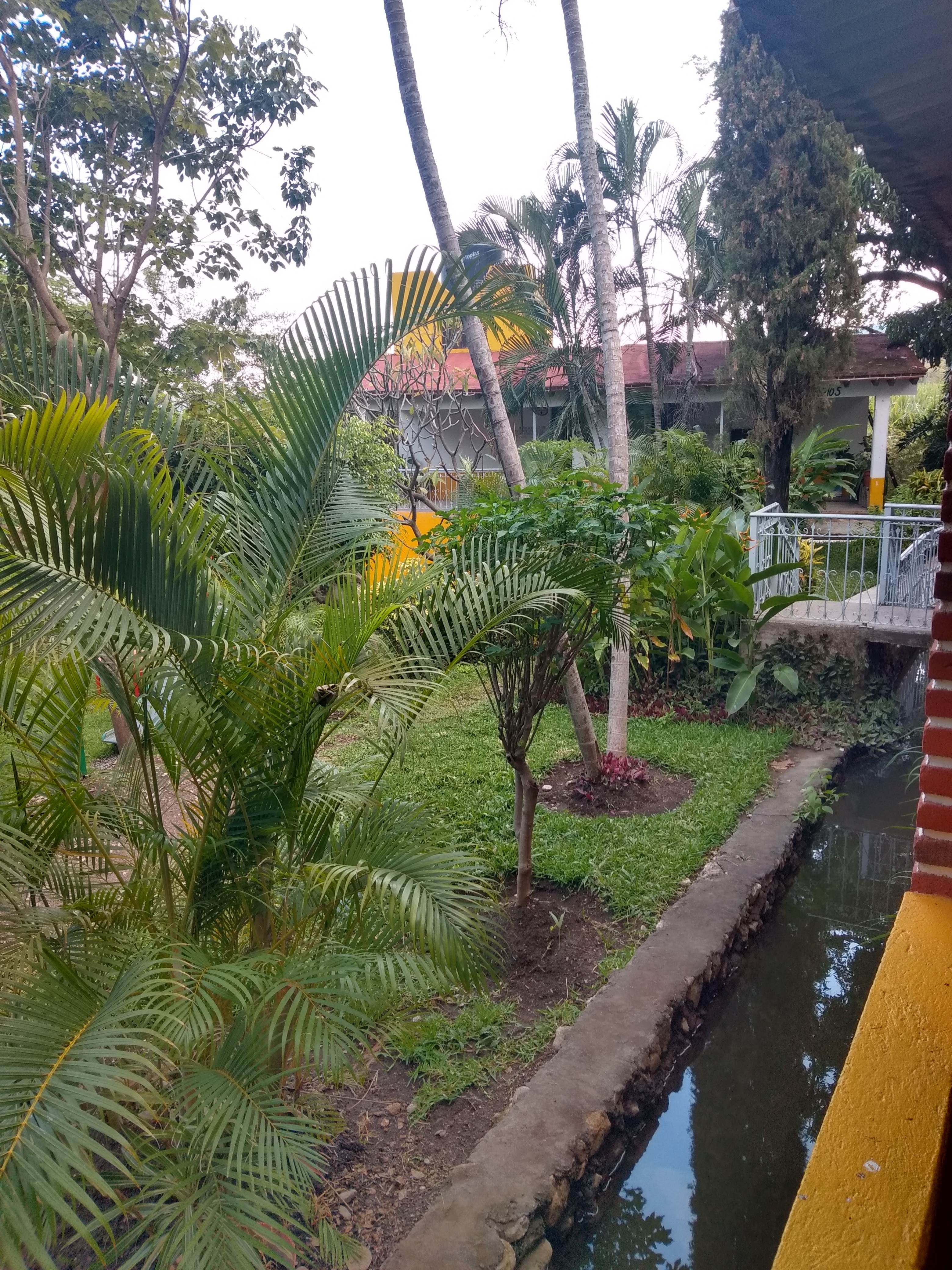 Panzacola restaurante image 6